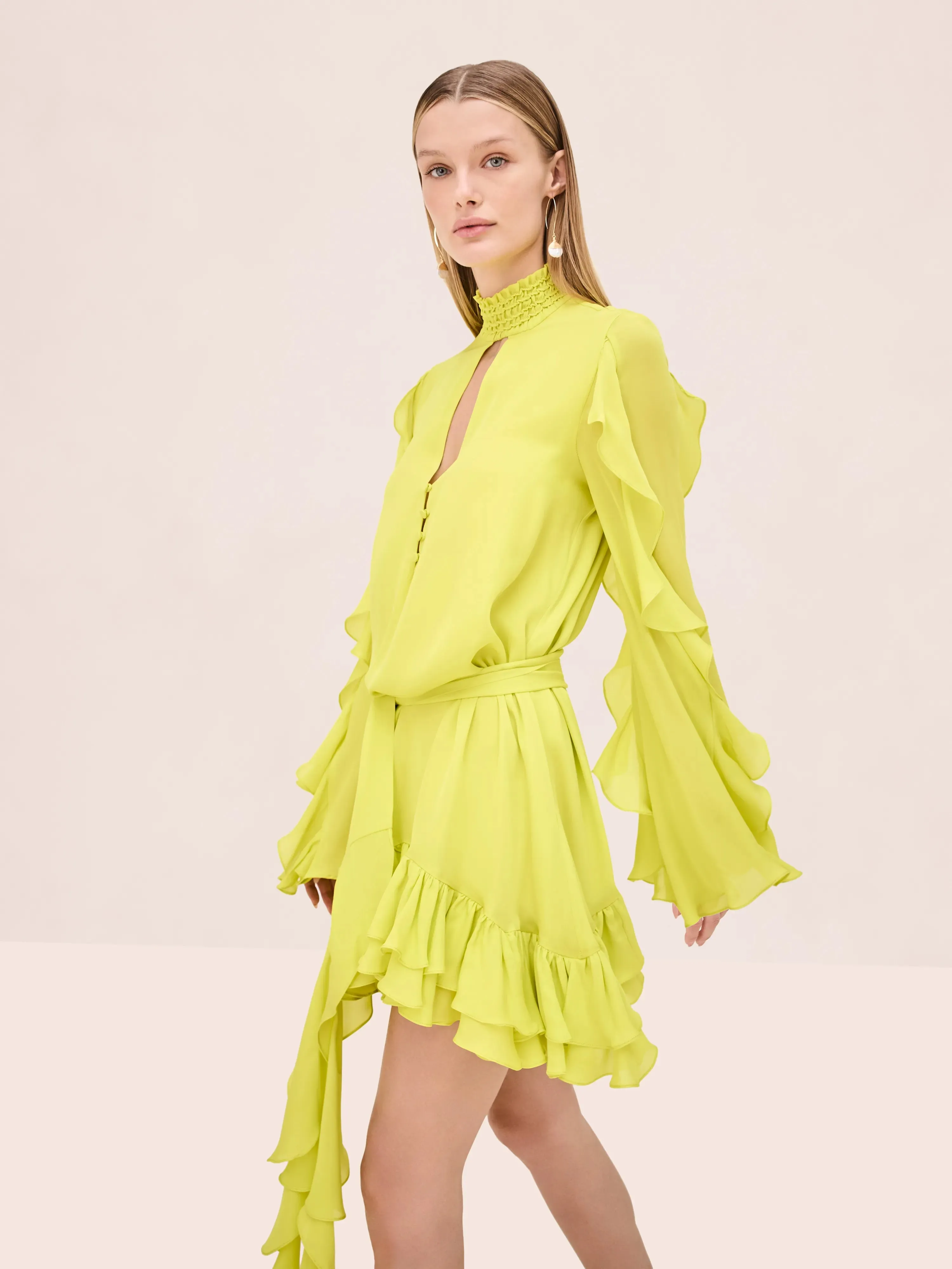 Giovanna Dress sold by Alexis product image thumbnail 2