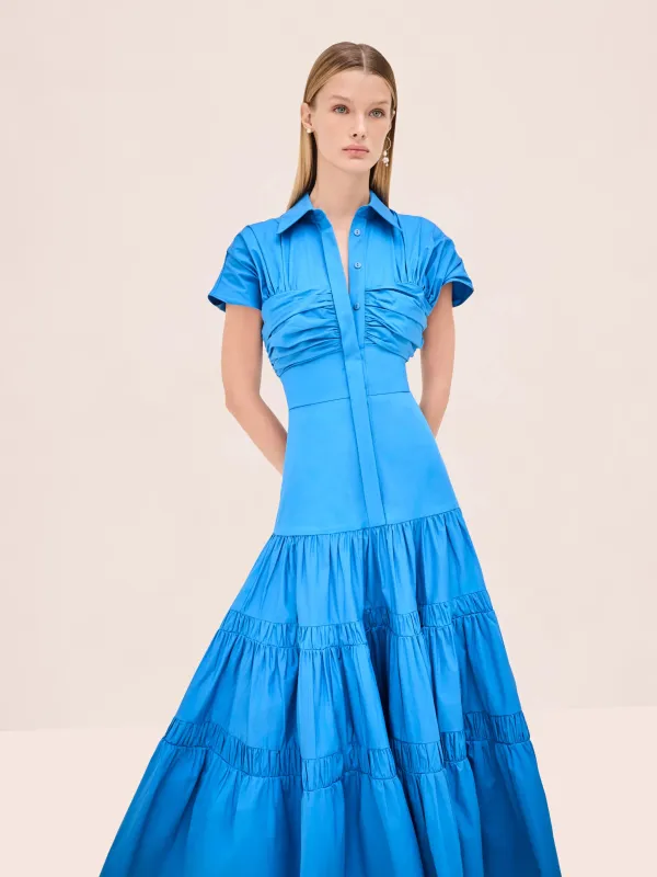 Carosini Dress made by Alexis