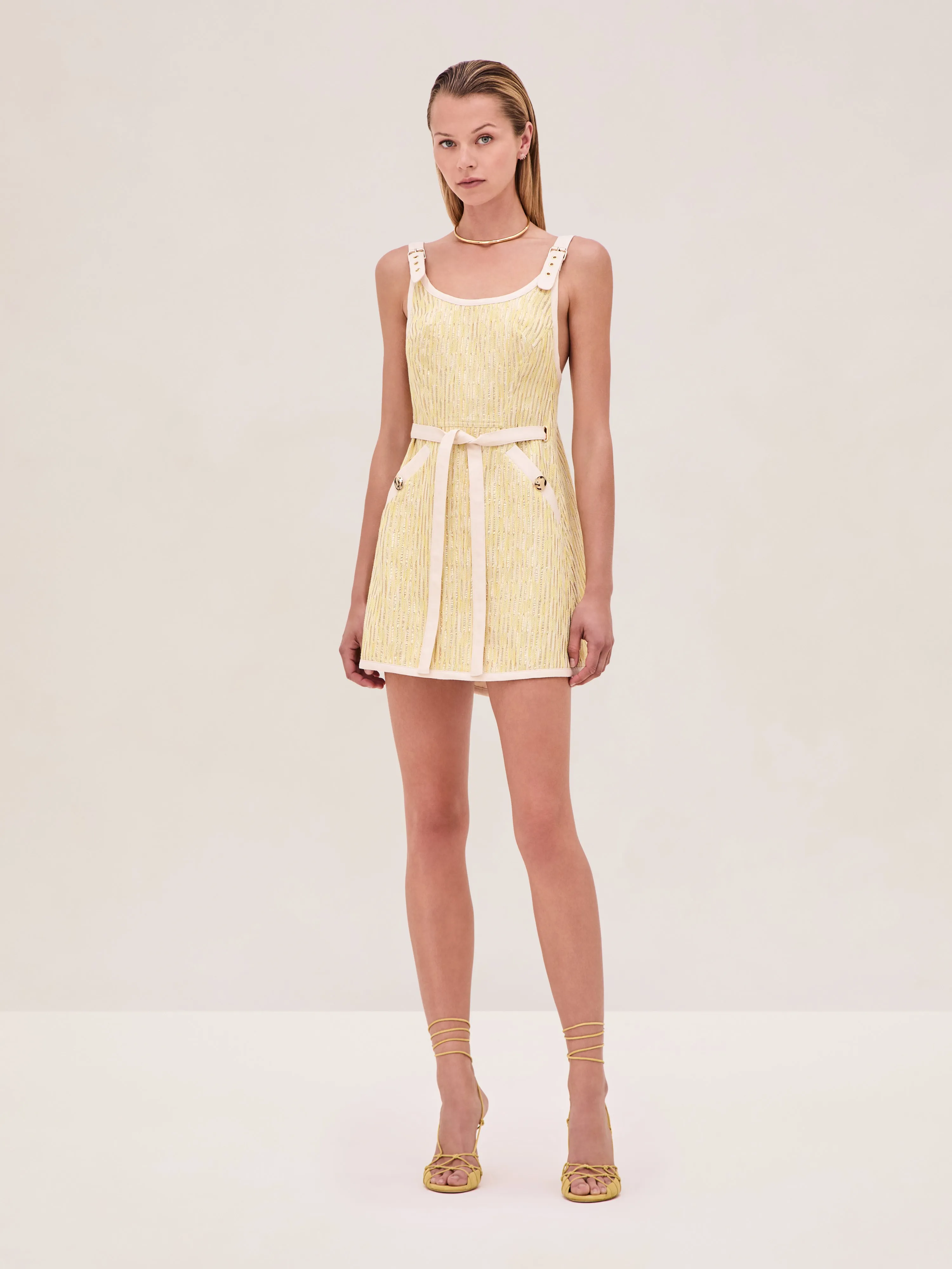 Luccia Dress sold by Alexis
