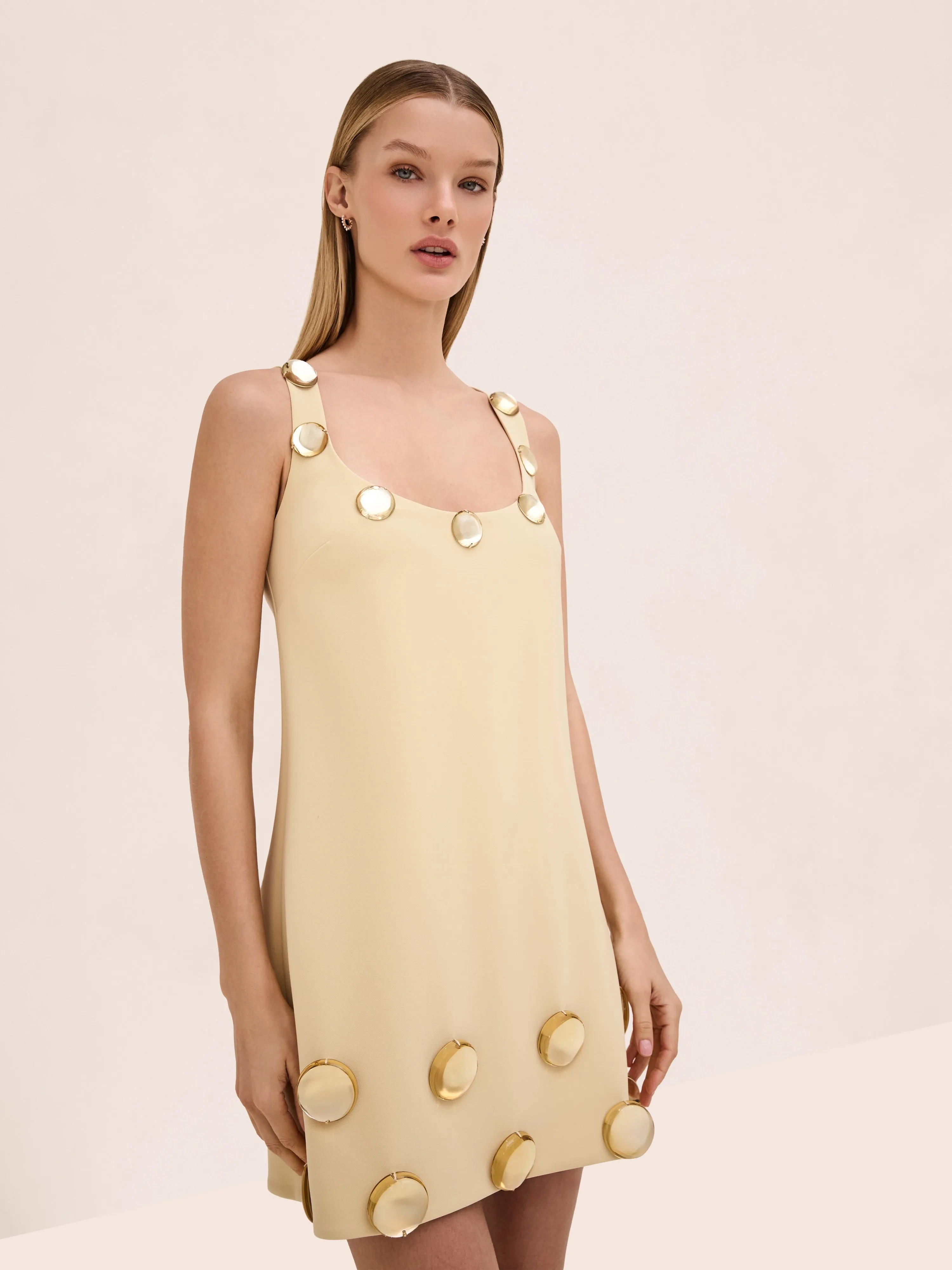Aravine Dress sold by Alexis