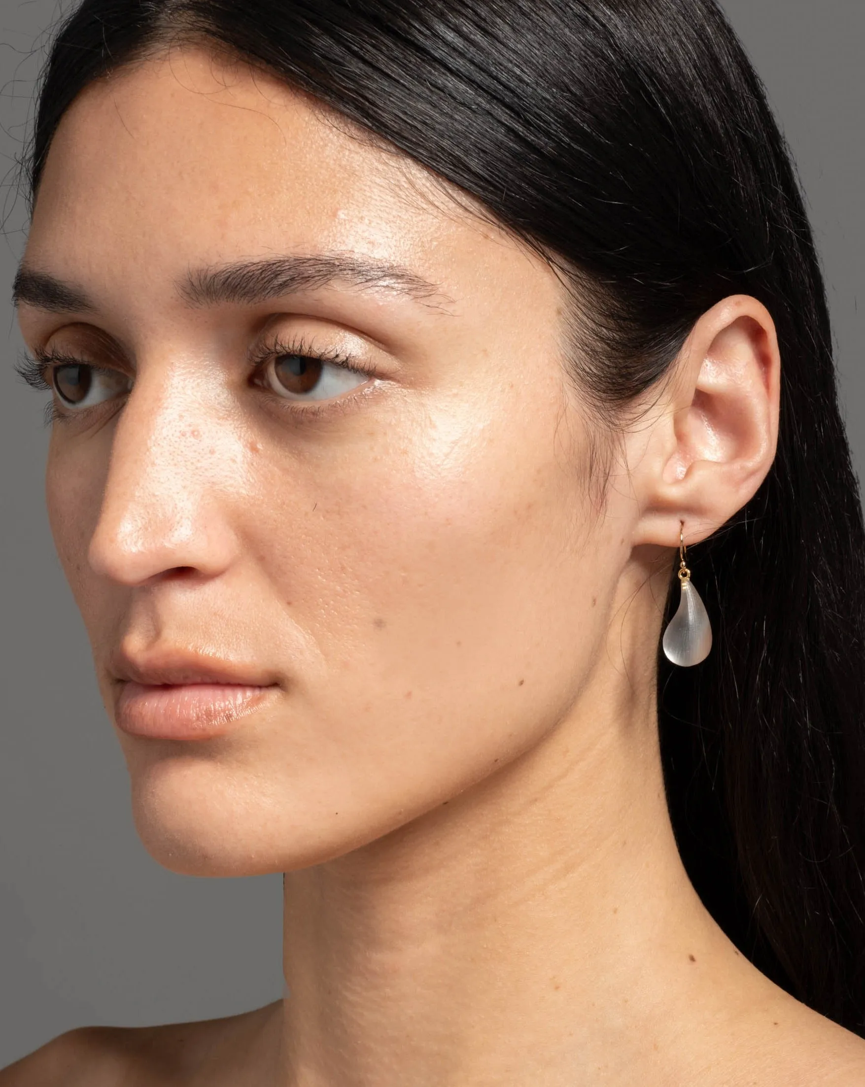 Lucite Dewdrop Earring- Pewter sold by Alexis Bittar product image thumbnail 2