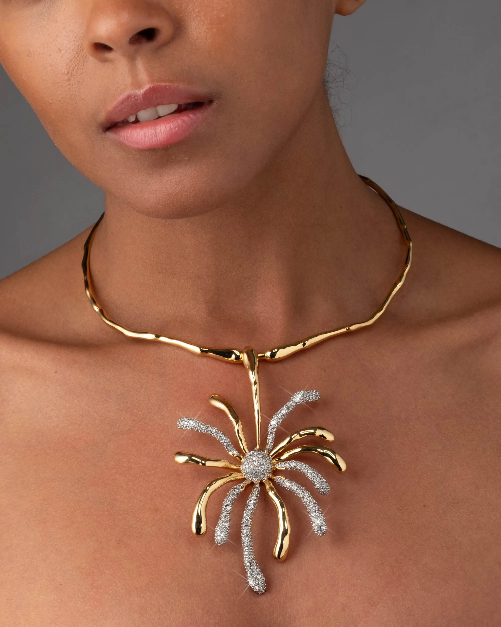 Solanales Crystal Sunburst Collar sold by Alexis Bittar product image thumbnail 4