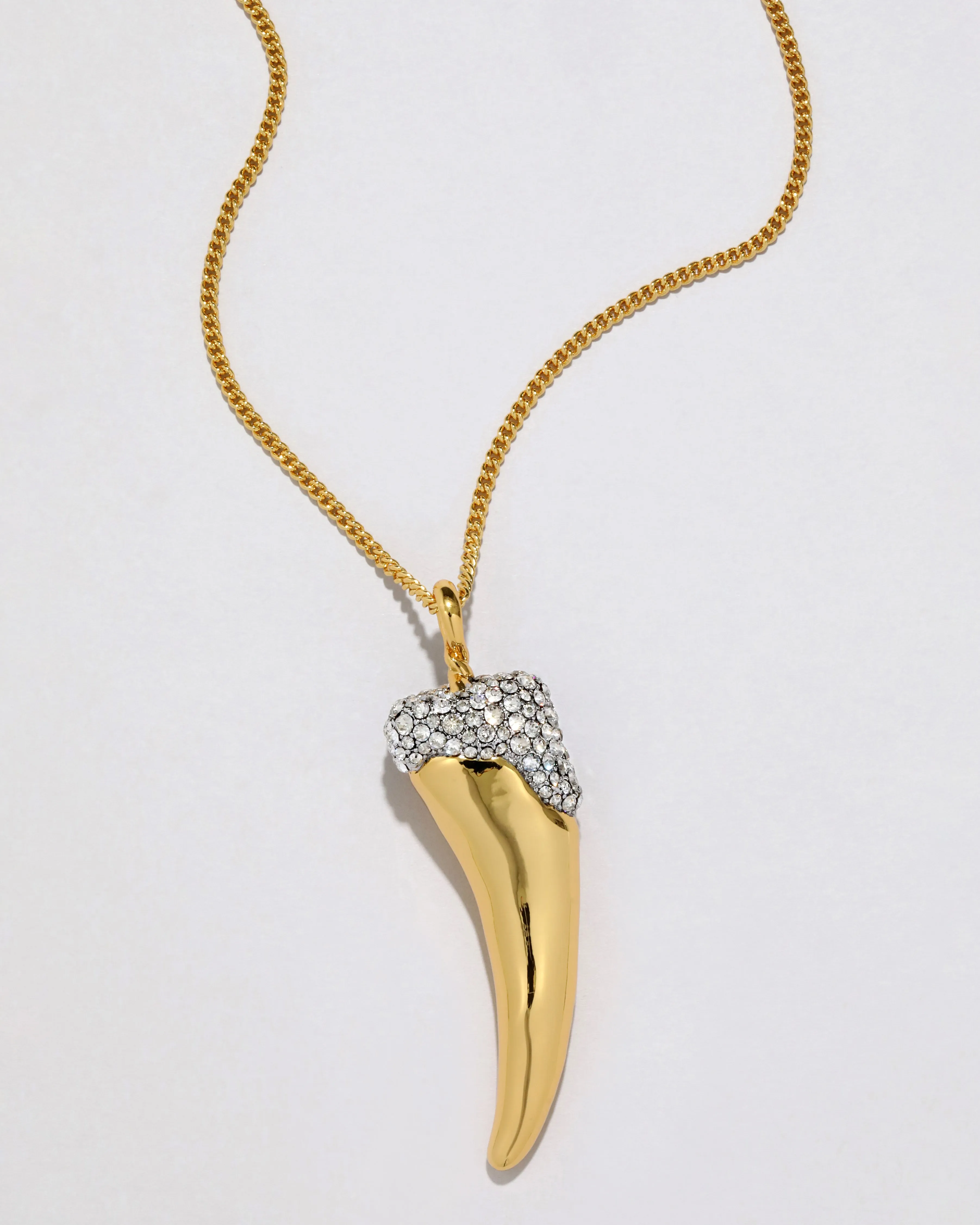 Solanales Crystal Horn Long Necklace sold by Alexis Bittar