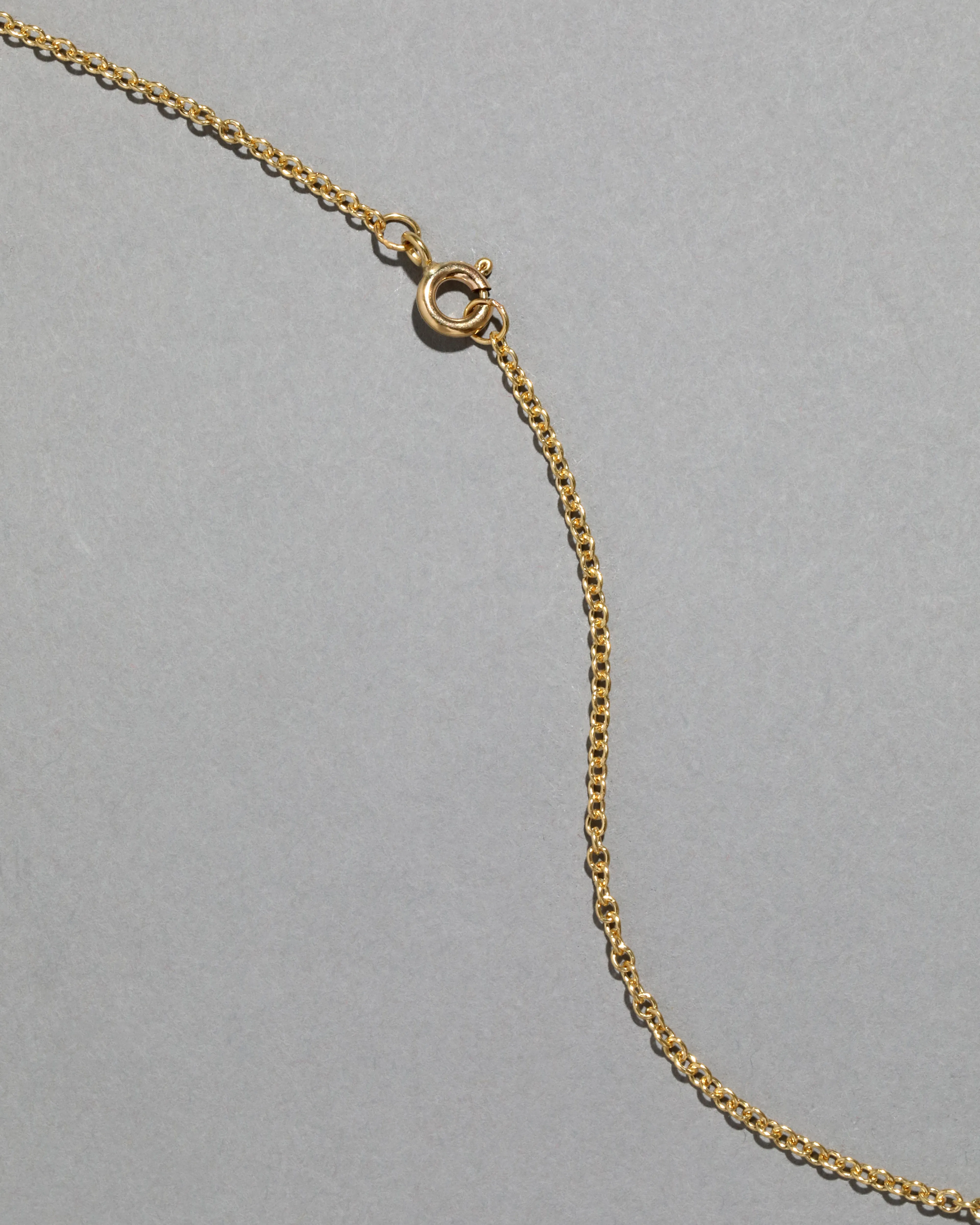 Antique 1910s 14k Gold Filled Lattice Detail Floral Locket Necklace sold by Alexis Bittar product image thumbnail 4