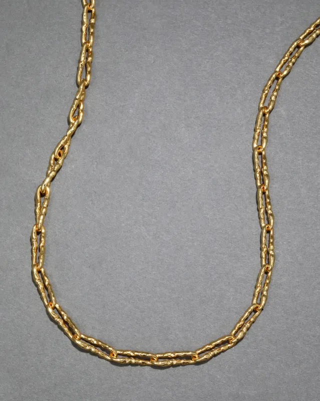 Brut Gold Twisted Link Long Necklace sold by Alexis Bittar