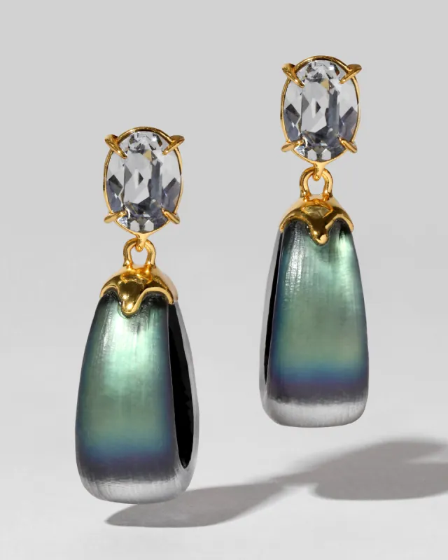Bonbon Crystal Lucite Small Teardrop Hoop Earring- Black Beetle sold by Alexis Bittar