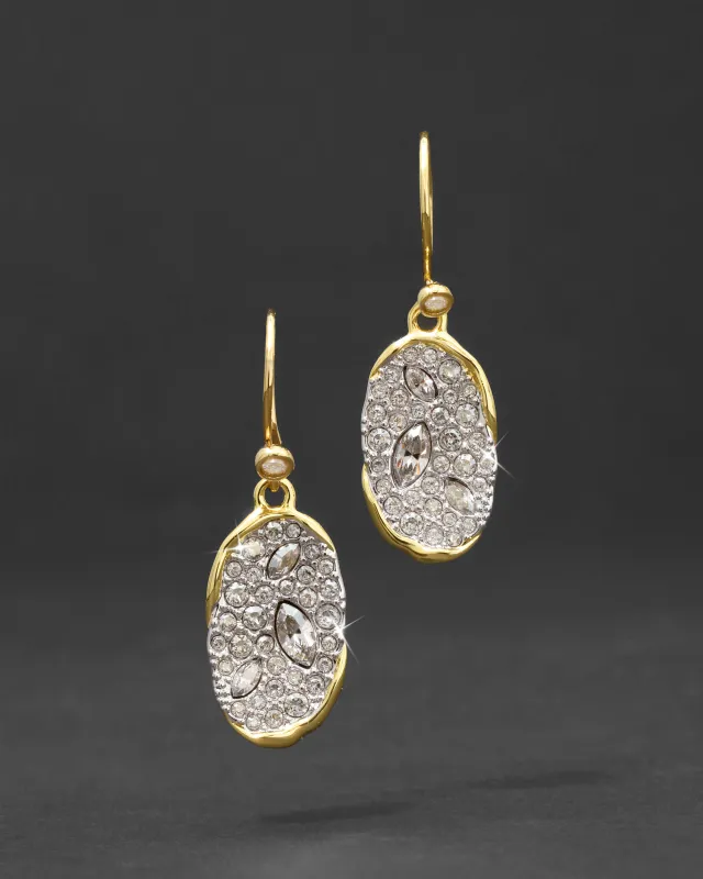 Solanales Crystal Oval Drop Earring sold by Alexis Bittar