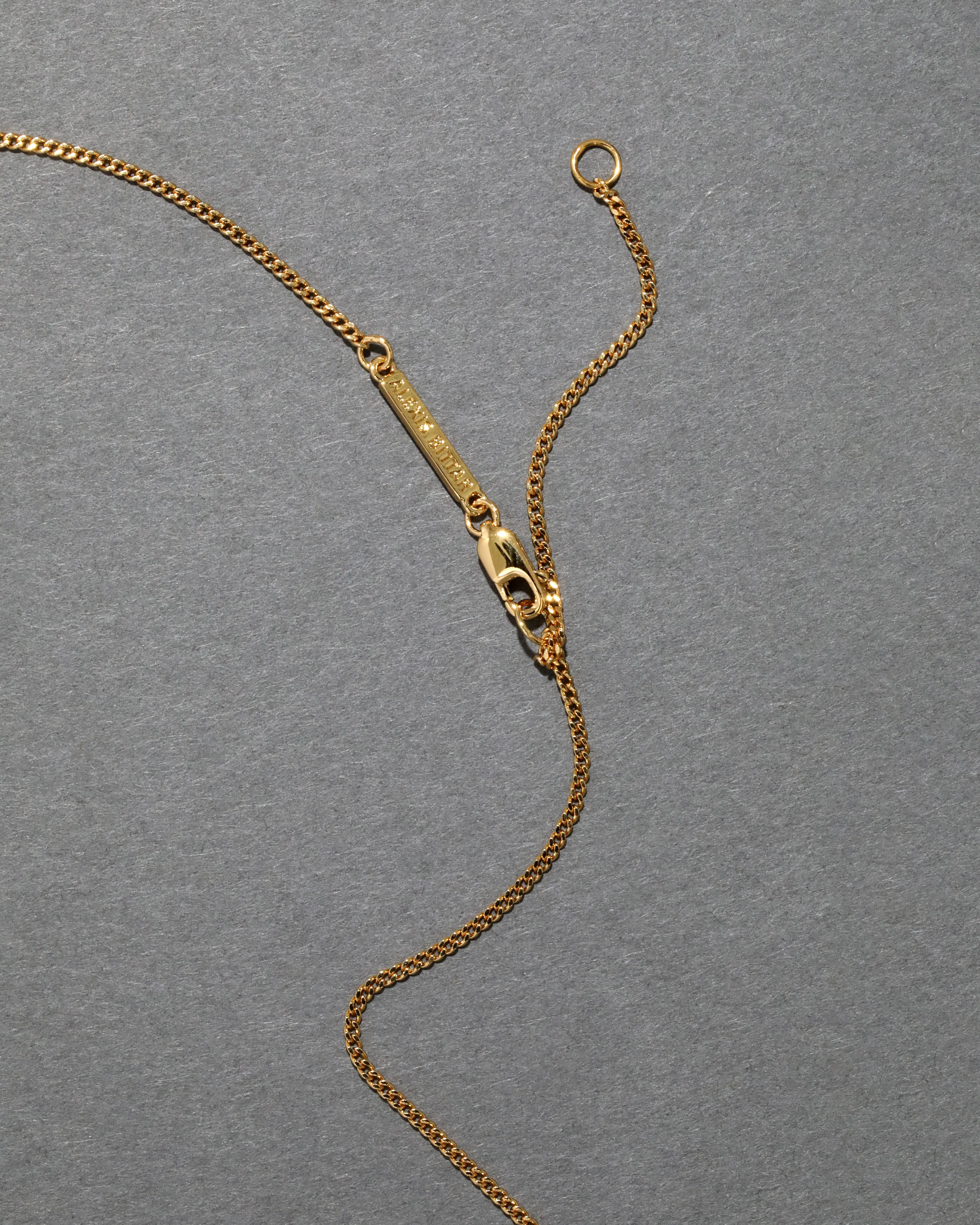 Valor Lion Cameo Pendant Necklace- White Mother of Pearl sold by Alexis Bittar product image thumbnail 4