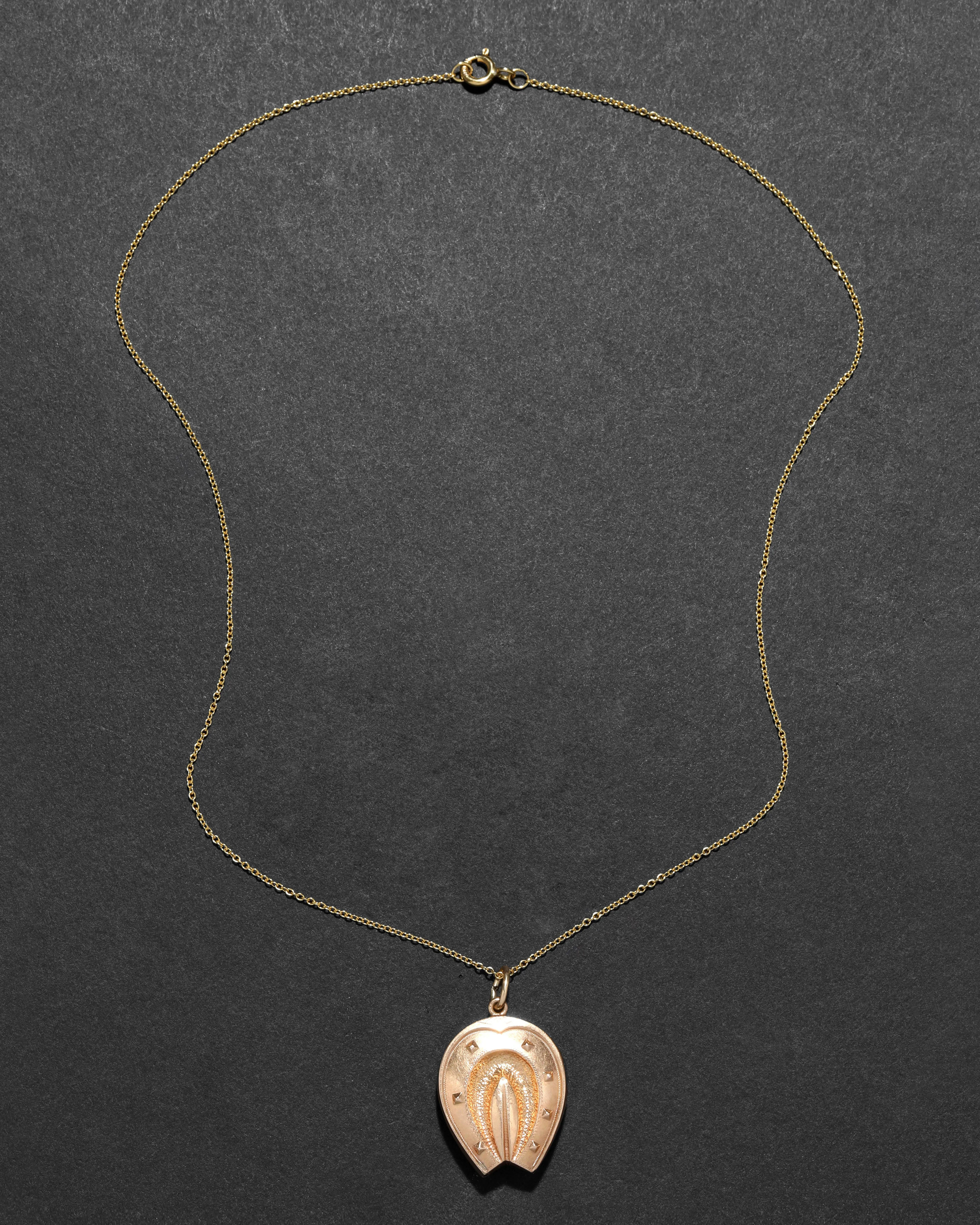 Antique 1800s 10k Rose Gold Horseshoe Locket Necklace sold by Alexis Bittar product image thumbnail 2