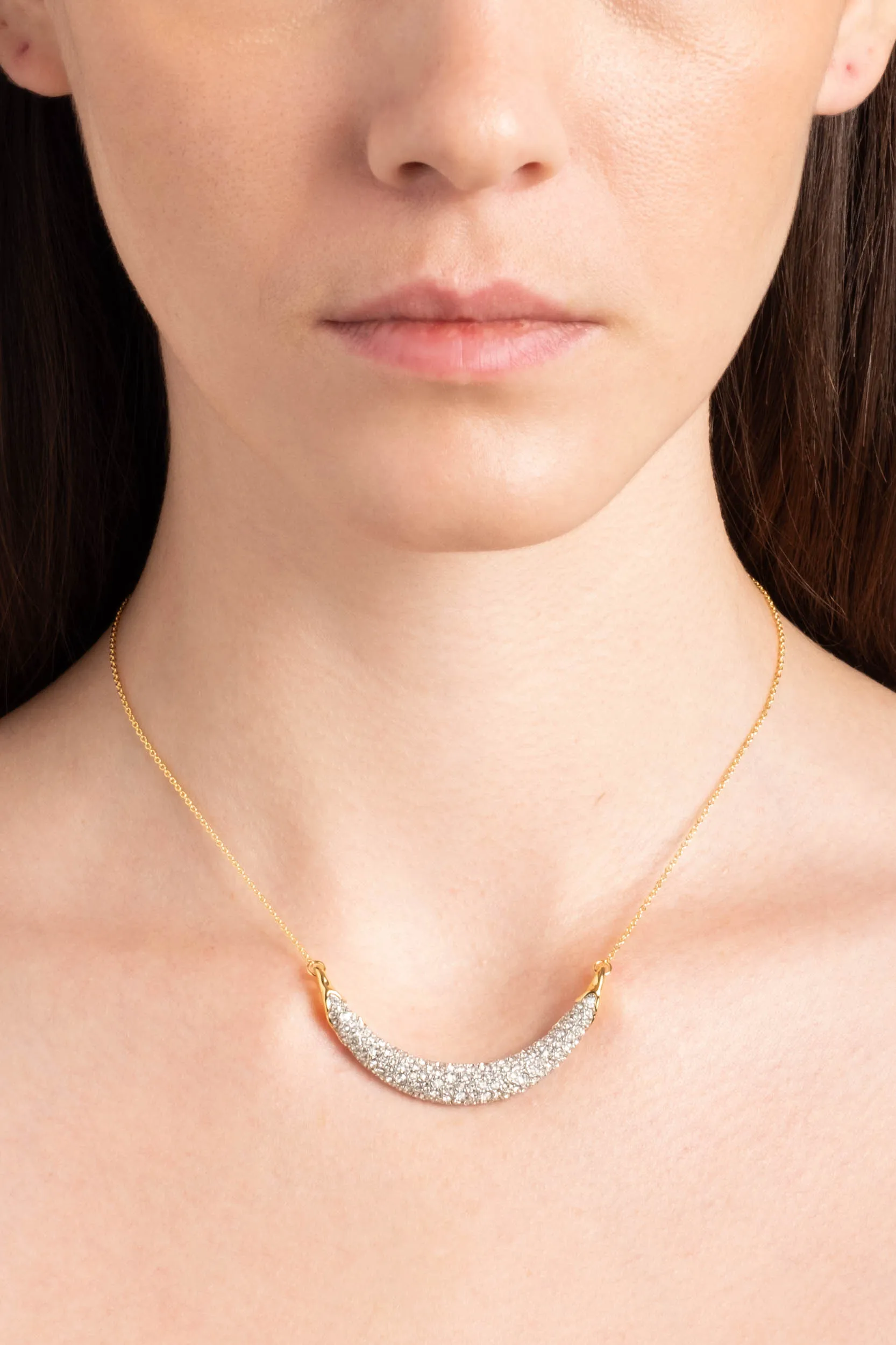 Solanales Crystal Crescent Necklace sold by Alexis Bittar product image thumbnail 2