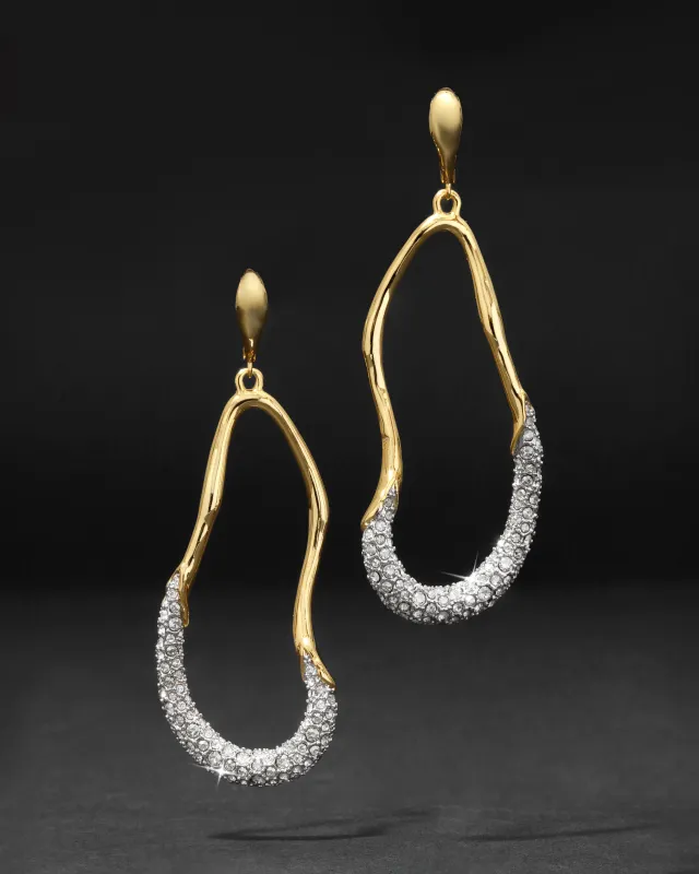 Solanales Crystal Curve Leverback Drop Earring sold by Alexis Bittar