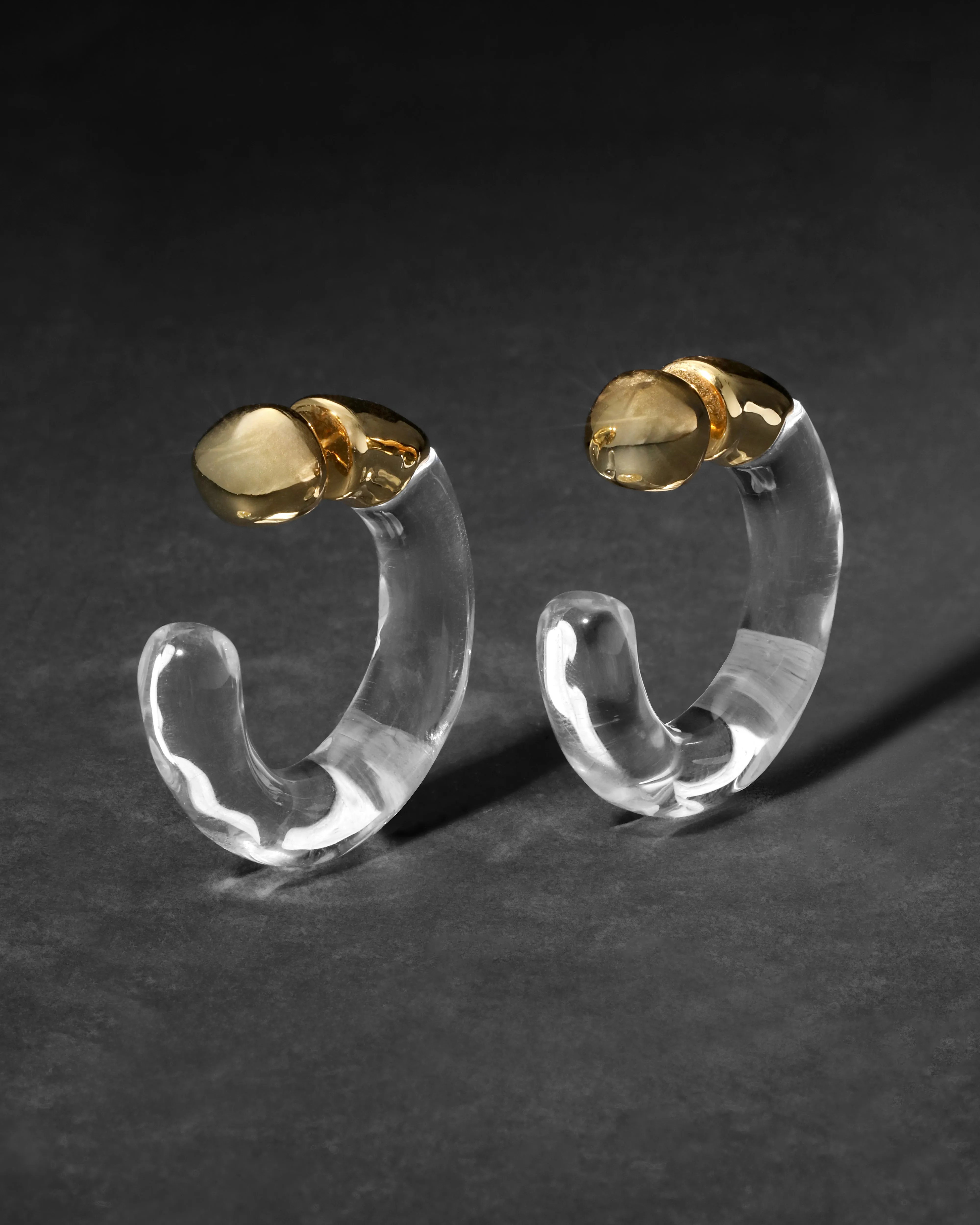 Liquid Lucite Front Back Hoop Earring sold by Alexis Bittar product image thumbnail 4