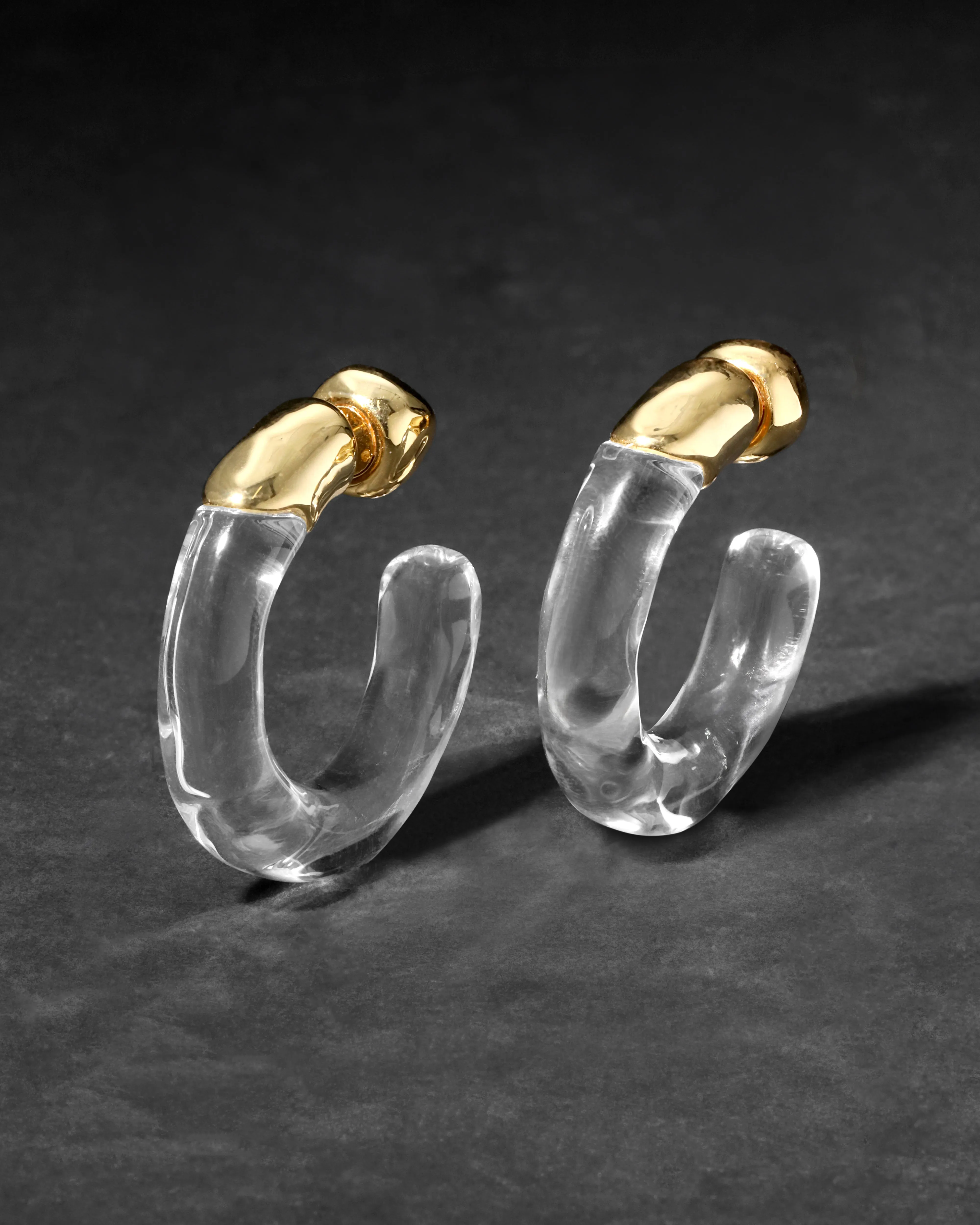 Liquid Lucite Front Back Hoop Earring sold by Alexis Bittar