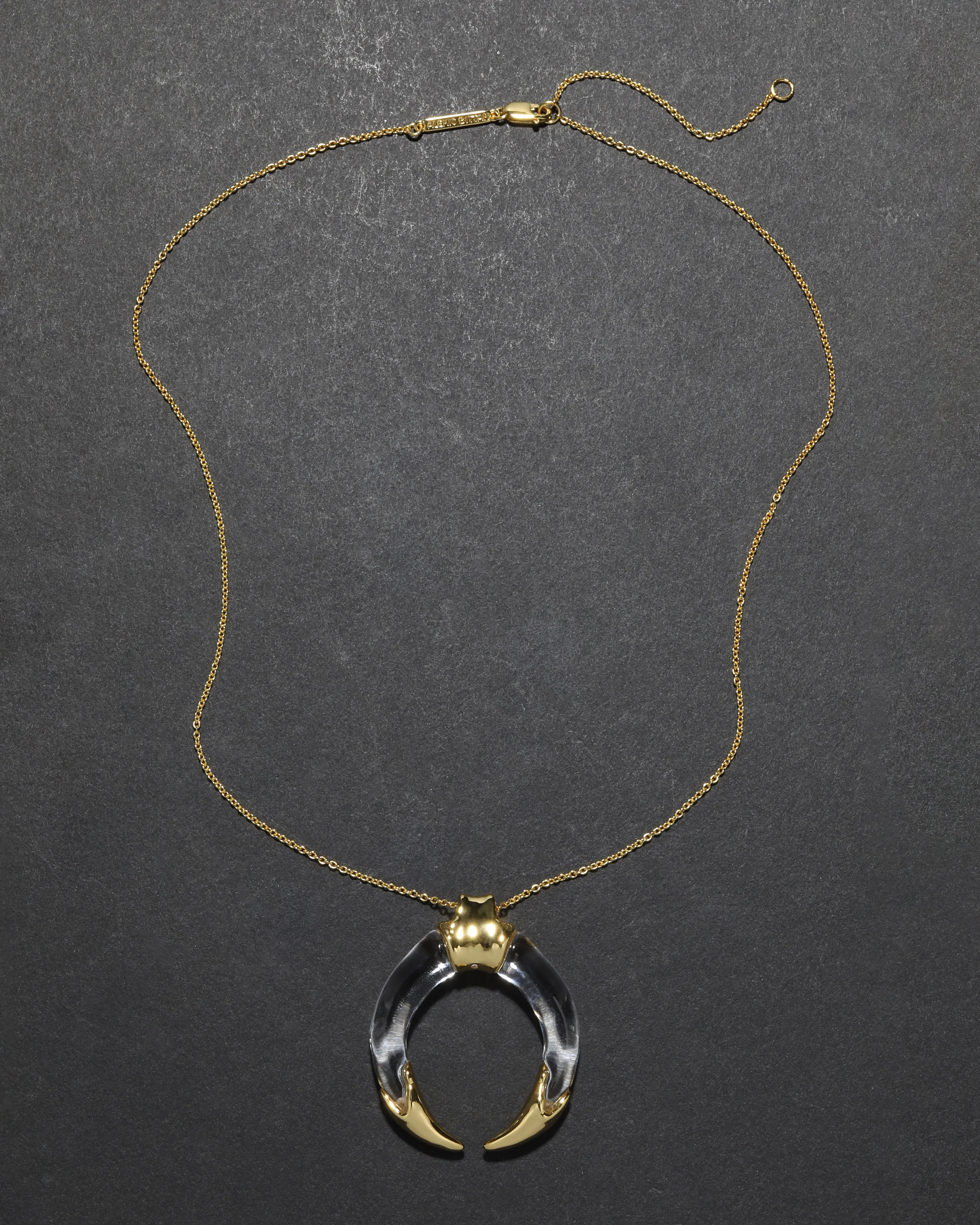 Gilded Tusk Lucite Necklace sold by Alexis Bittar product image thumbnail 4