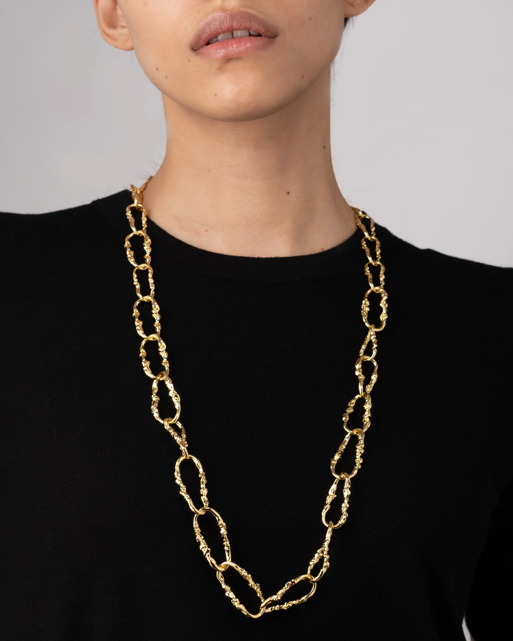 Brut Link Long Chain Necklace sold by Alexis Bittar product image thumbnail 3