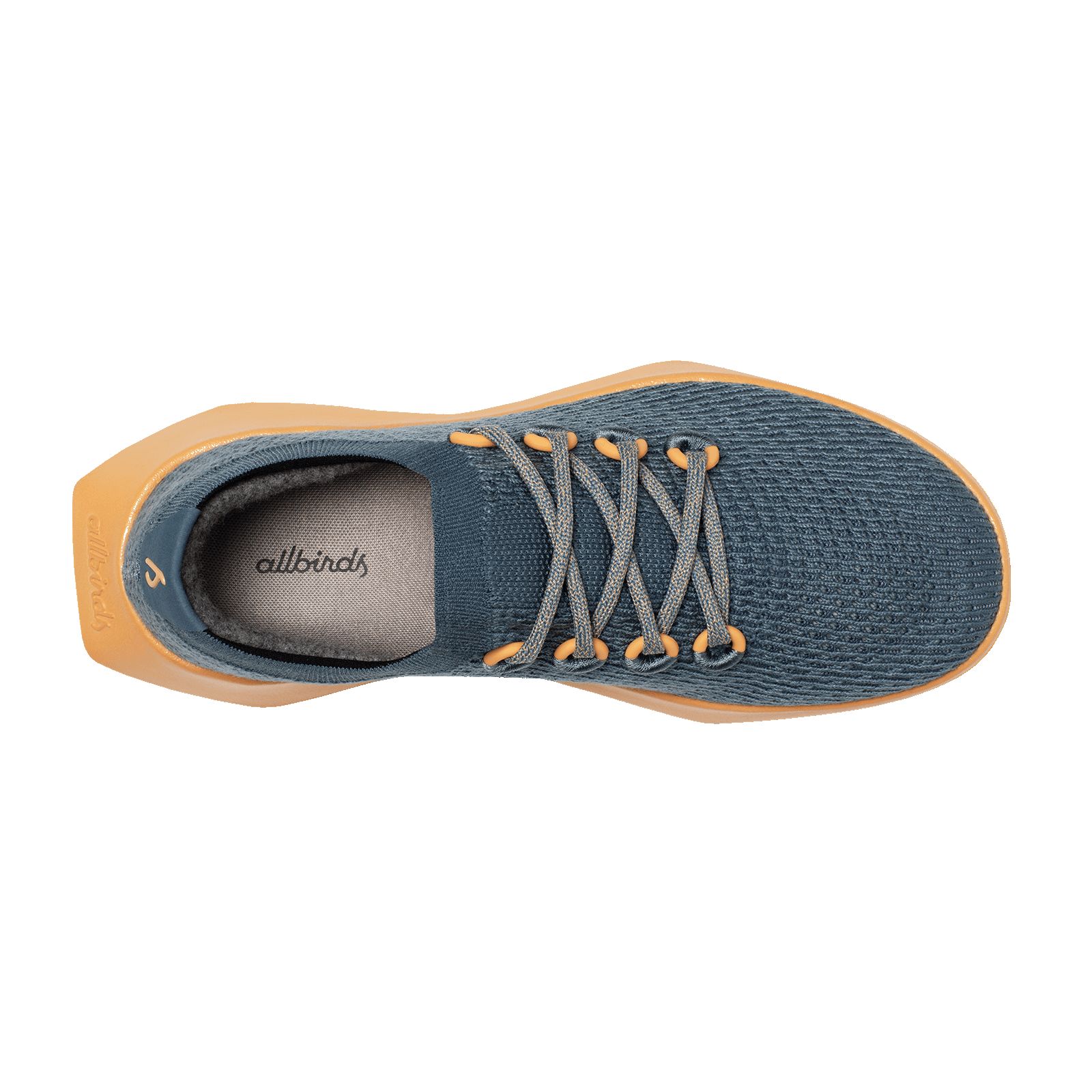 Women's Tree Dasher 2 - Calm Teal (Forage Tan Sole) sold by allbirds product image thumbnail 5