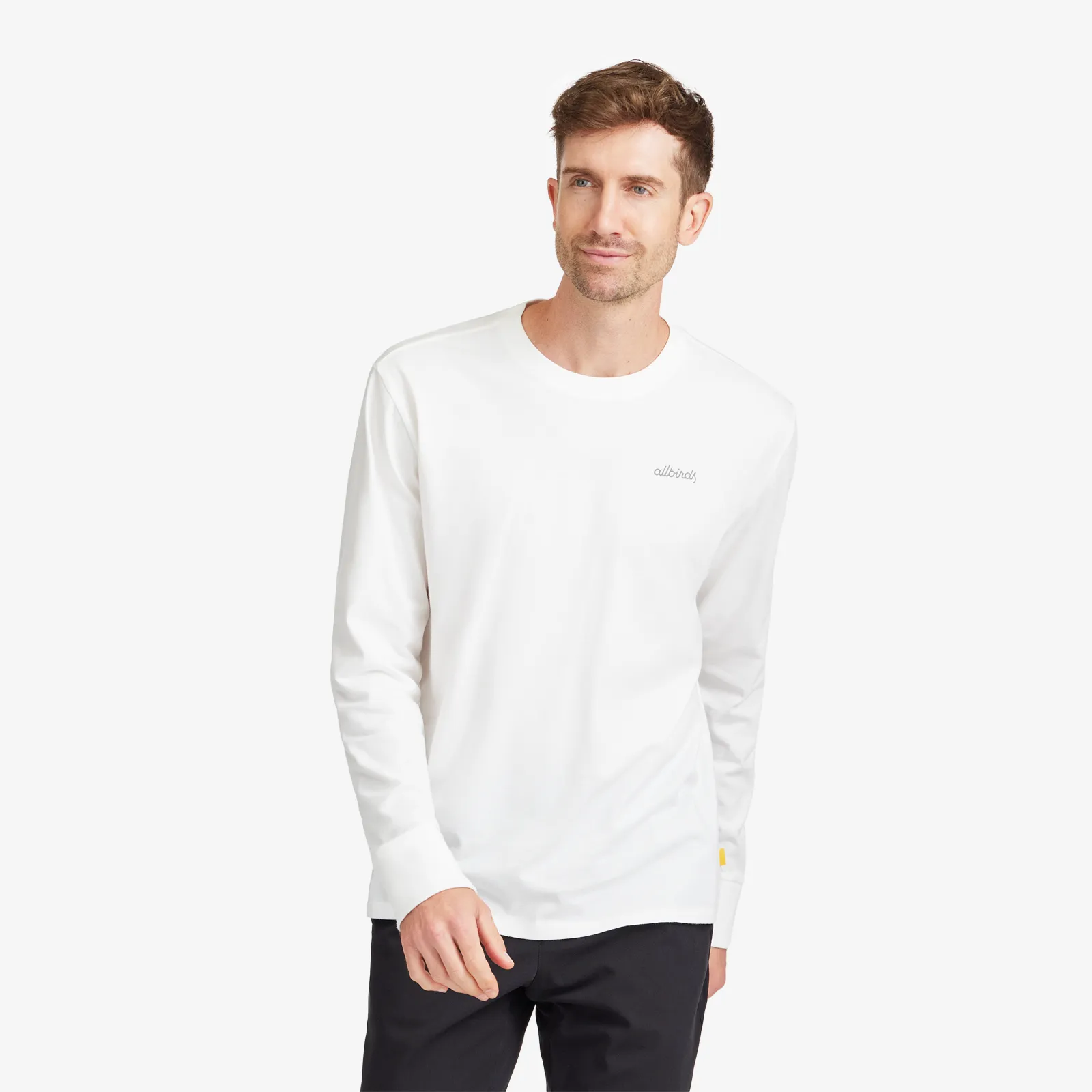 Men's Organic Cotton Long Sleeve Tee - Logo - Blizzard sold by allbirds