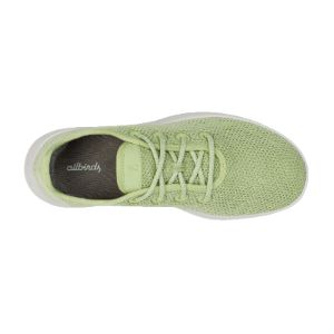 Men's Tree Runners - Forage Green (Blizzard Sole) sold by allbirds