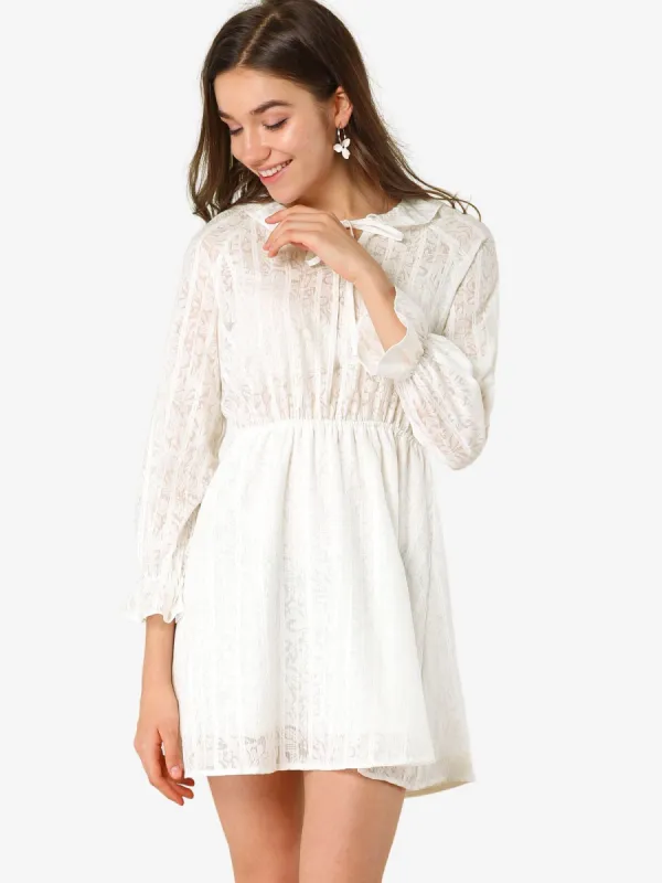 Vintage Ruffled Tie Neck Semi-Sheer A-Line Textured Mini Dress sold by Allegra K