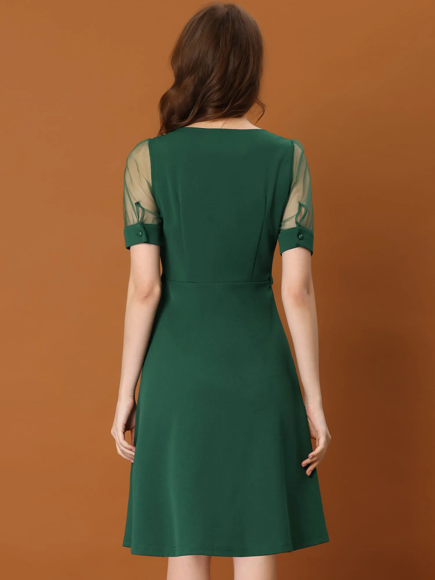 Retro Mesh Short Sleeve Sweetheart Neck 1950s Belted Dress sold by Allegra K product image thumbnail 4