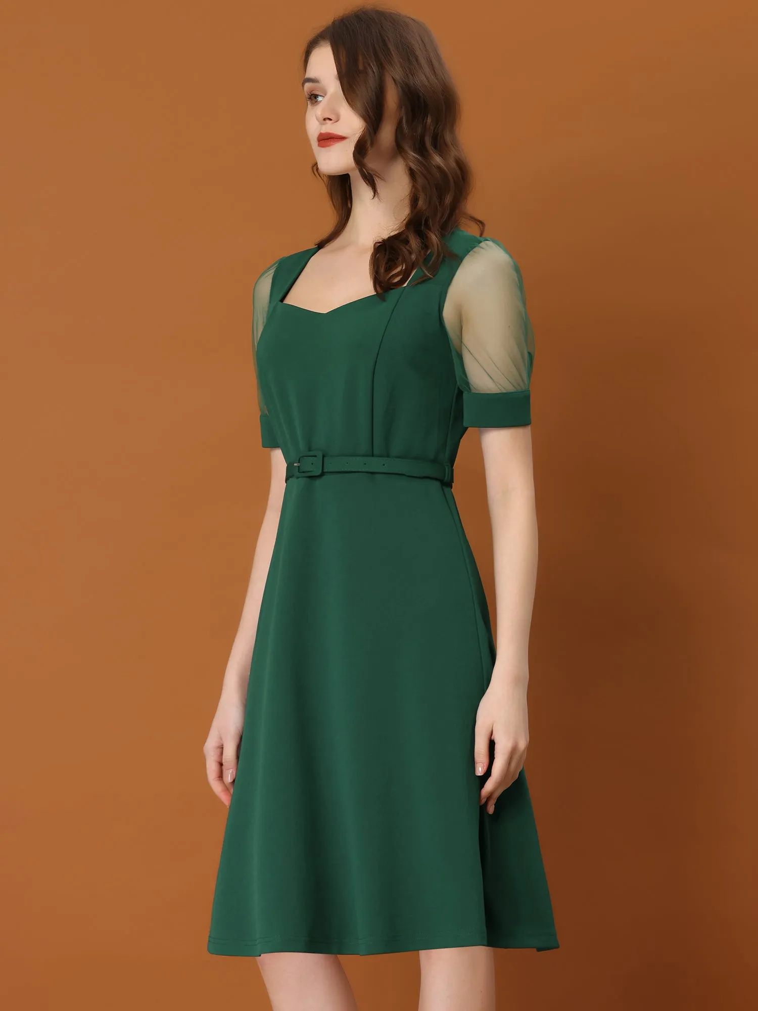 Retro Mesh Short Sleeve Sweetheart Neck 1950s Belted Dress sold by Allegra K product image thumbnail 3