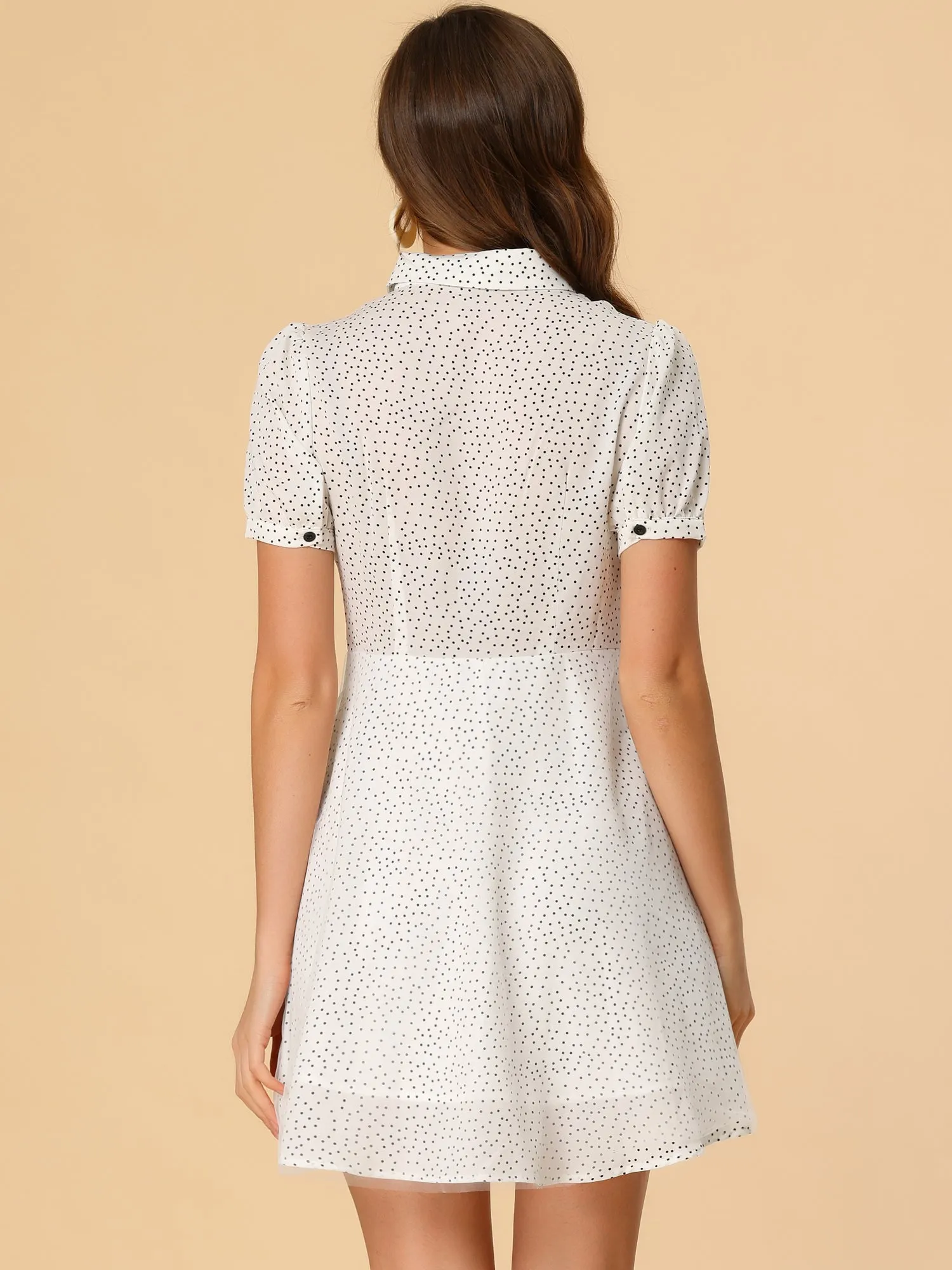 Polka Dot Puff Short Sleeve Half Placket Mesh A-Line Shirt Dress sold by Allegra K product image thumbnail 4