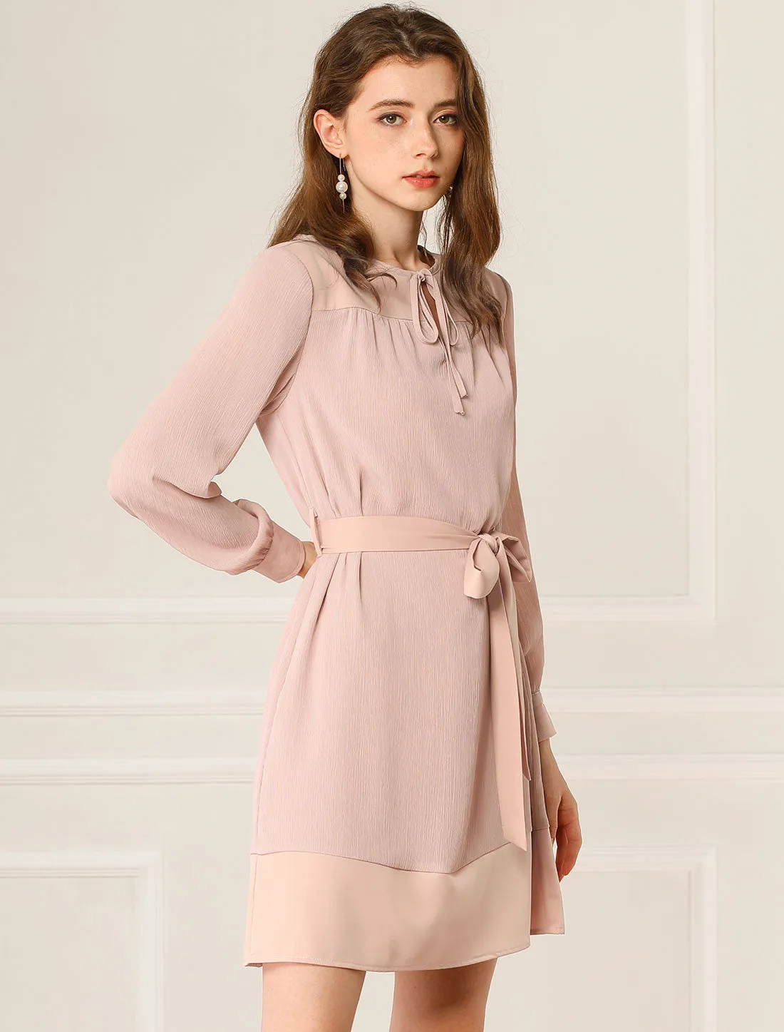 Long Sleeve Tie Neck Elegant A-Line Work Dress sold by Allegra K product image thumbnail 2