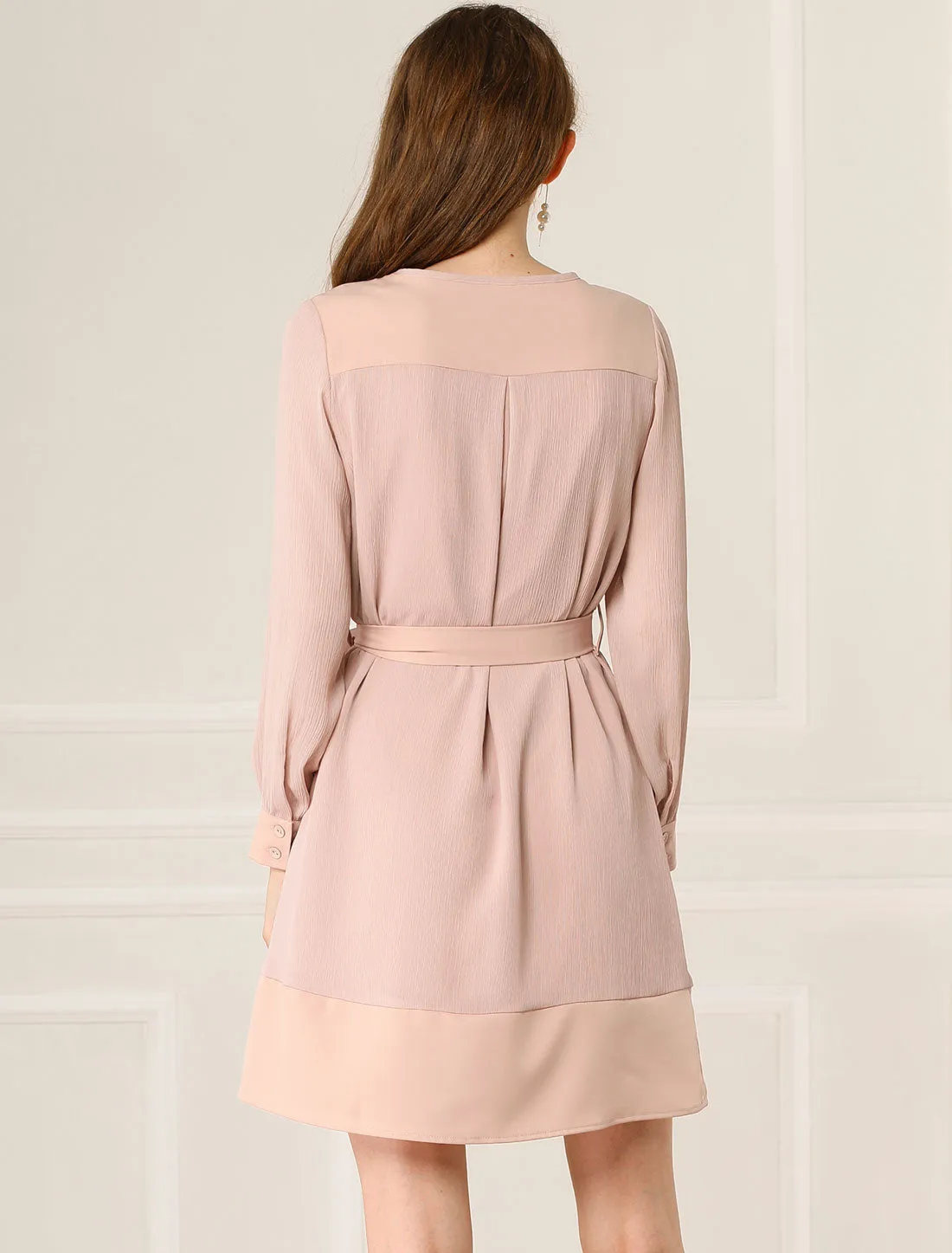 Long Sleeve Tie Neck Elegant A-Line Work Dress sold by Allegra K product image thumbnail 3