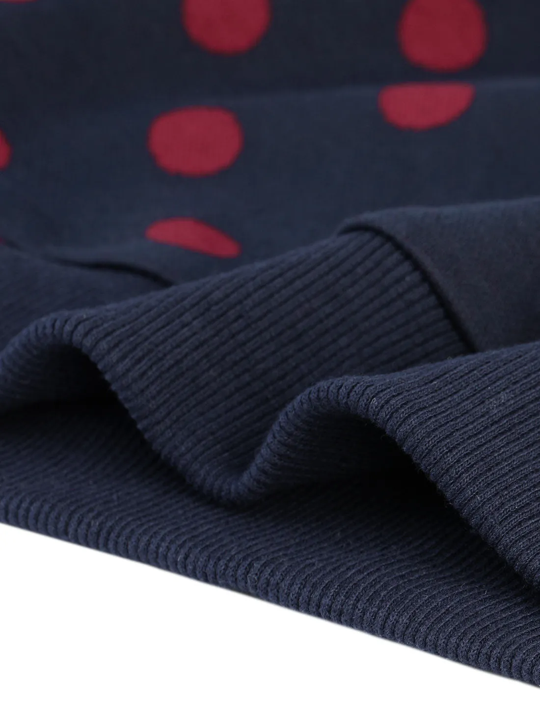 Round Neck Long Sleeve Polka Dot Pullover Sweatshirt sold by Allegra K product image thumbnail 4