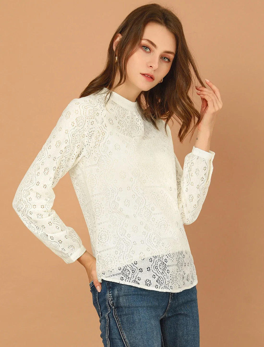 Lace Long Sleeve Floral Vintage Stand Collar Eyelet Blouse sold by Allegra K product image thumbnail 3