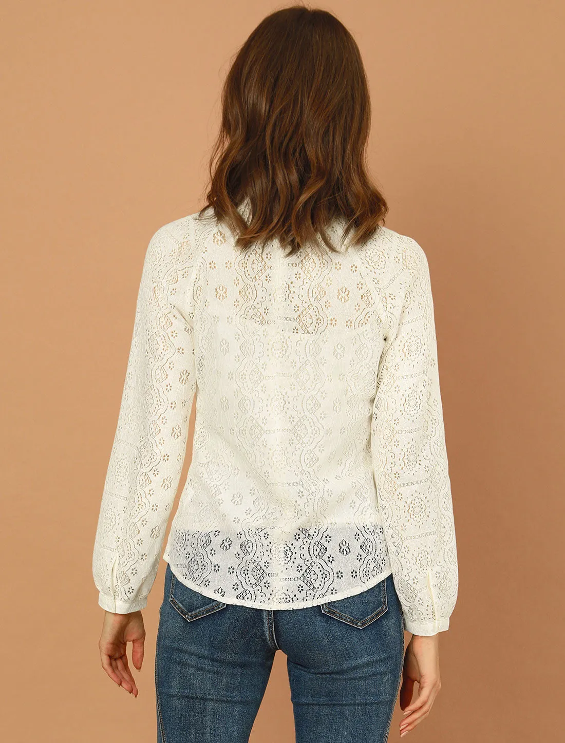 Lace Long Sleeve Floral Vintage Stand Collar Eyelet Blouse sold by Allegra K product image thumbnail 4