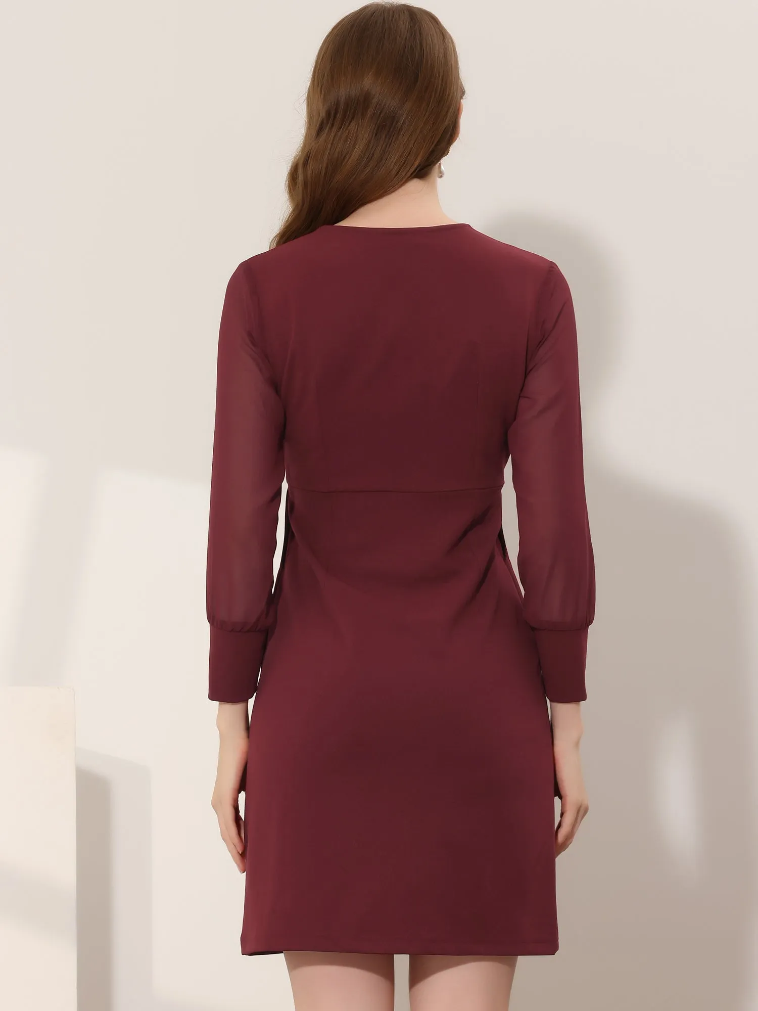 Work Office V Neck Mesh Sheer Sleeve Mini Dress sold by Allegra K product image thumbnail 3