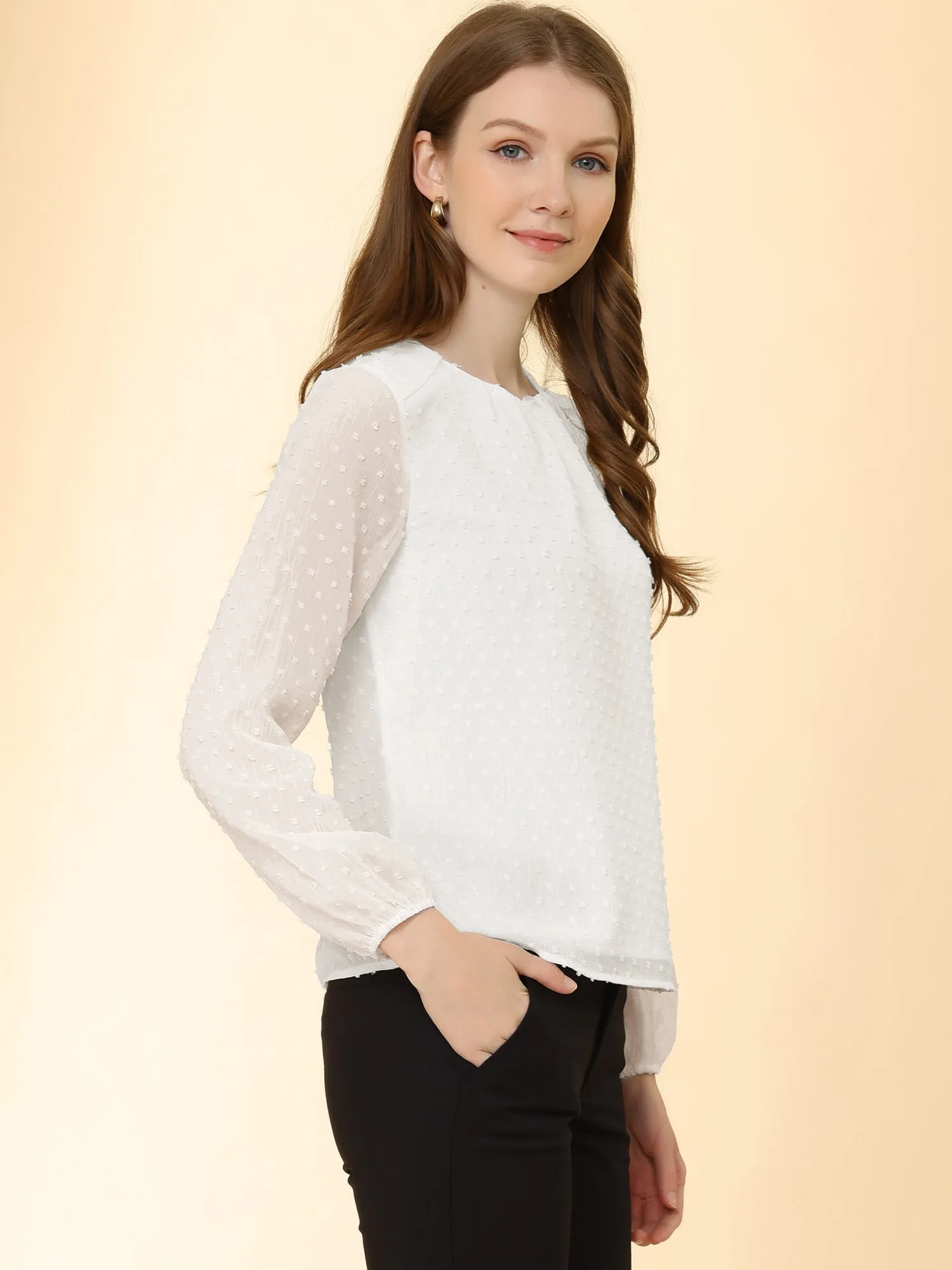 Chiffon Blouse Vintage Crew Neck Puff Long Sleeve Swiss Dots Top sold by Allegra K product image thumbnail 5