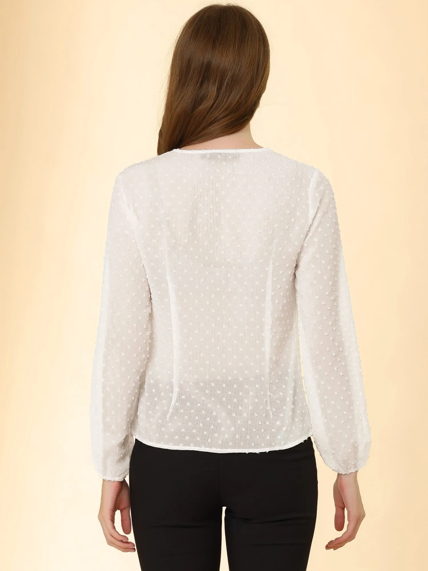 Chiffon Blouse Vintage Crew Neck Puff Long Sleeve Swiss Dots Top sold by Allegra K product image thumbnail 3