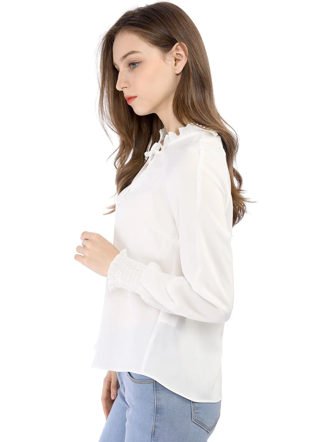 Winter Fall Casual Bow Tie Long Sleeve Shirt Chiffon Blouse sold by Allegra K product image thumbnail 5