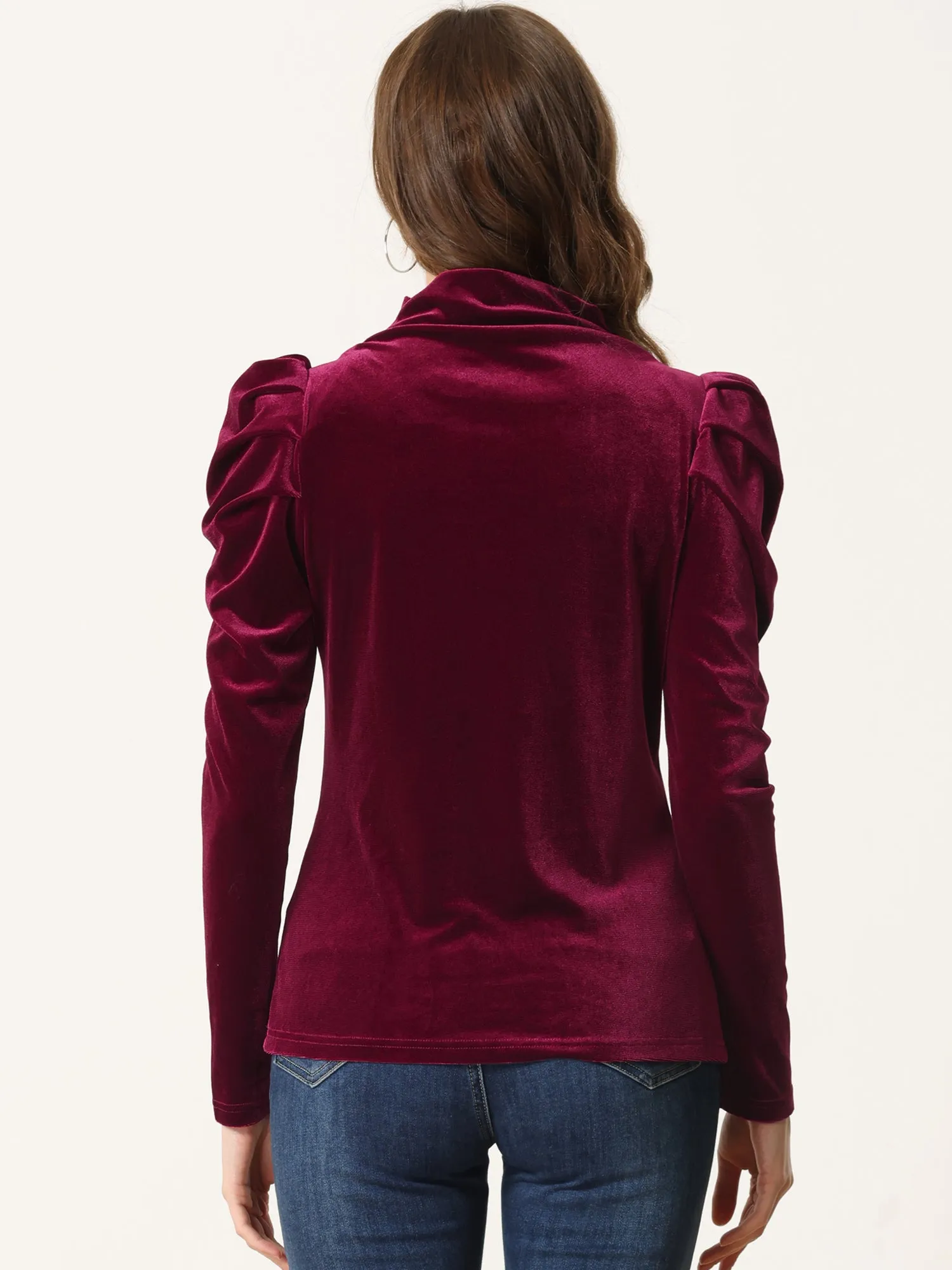 Velvet Blouse Puff Long Sleeve Turtleneck Elegant Velour Top sold by Allegra K product image thumbnail 3