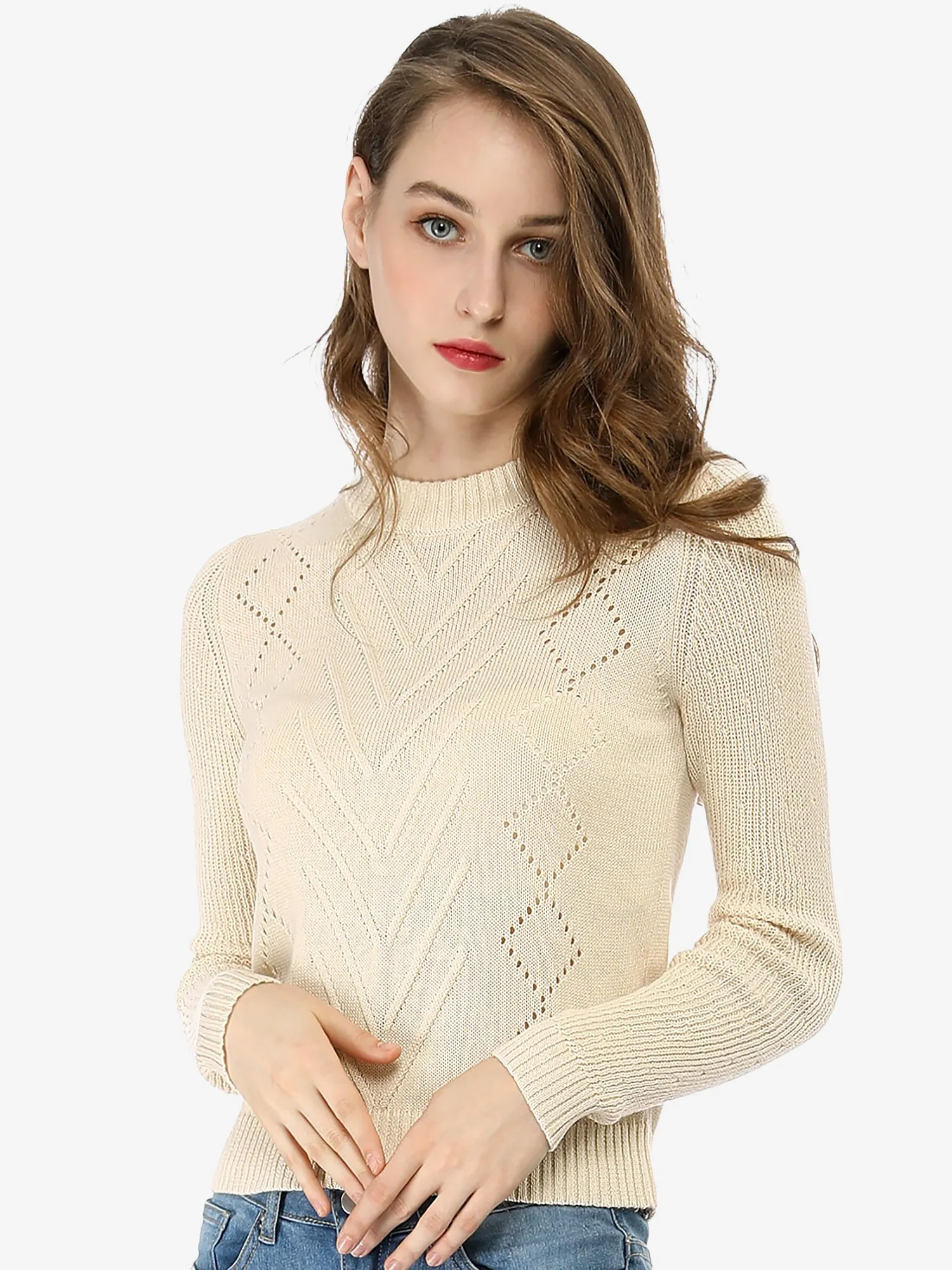 Crew Neck Pointelle Hollow Sweater Slim Fit Cropped Knitted Top sold by Allegra K