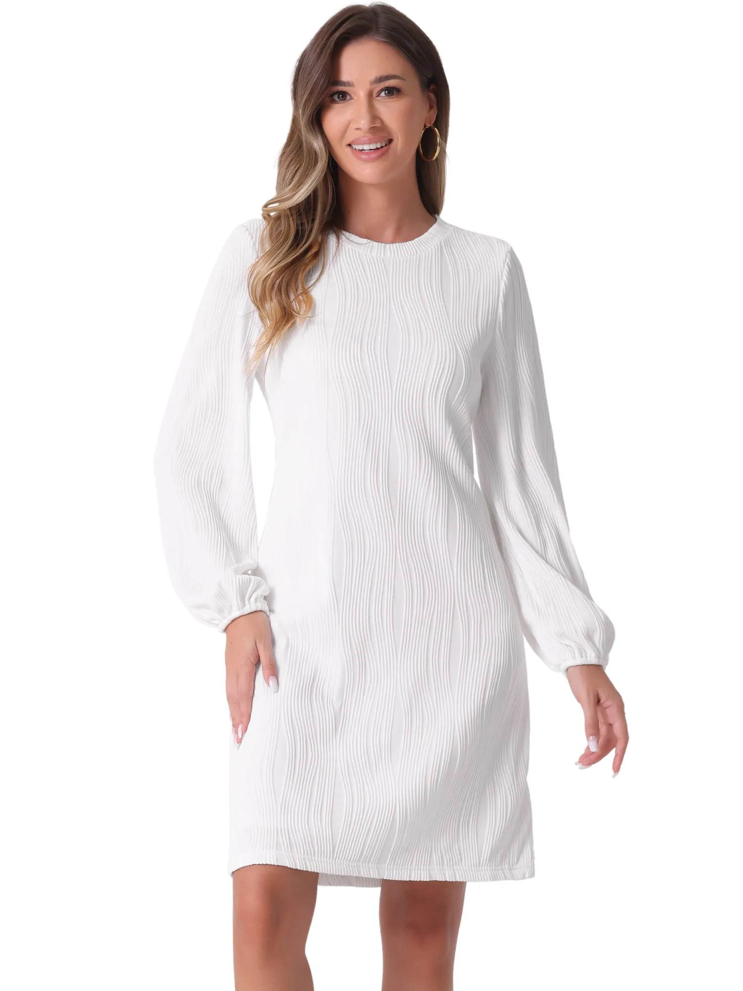 Long Lantern Sleeve Solid Color Textured Midi Dress sold by Allegra K product image thumbnail 5