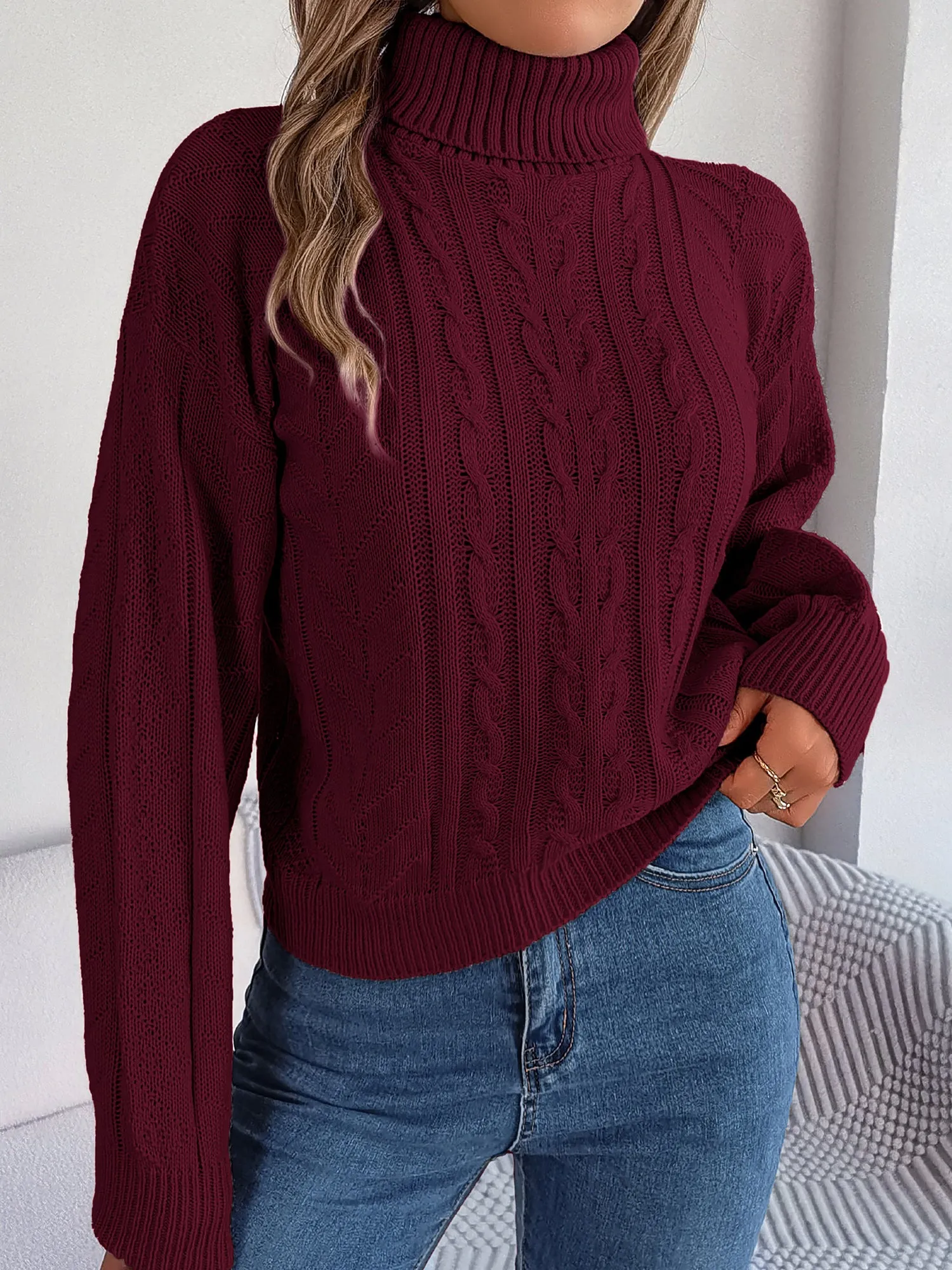 Turtle Neck Twist Knit Long Sleeve Pullover Sweater sold by Allegra K