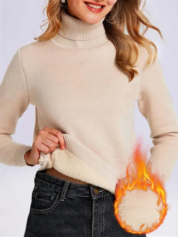 Fleece Thermal Turtle Neck Long Sleeves Sweater sold by Allegra K