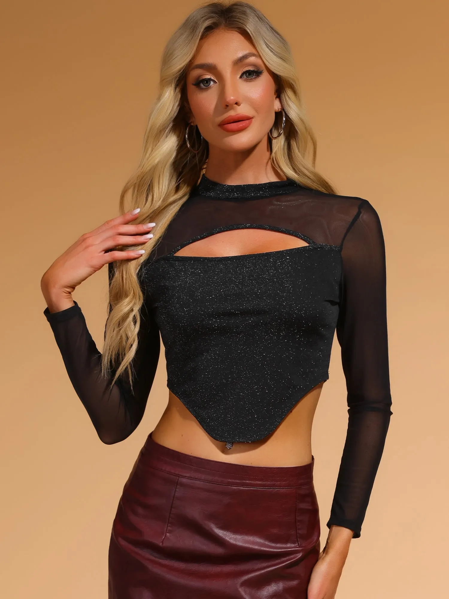 Glitter Mock Neck Keyhole Mesh Clubewear Sparkly Cropped Top sold by Allegra K
