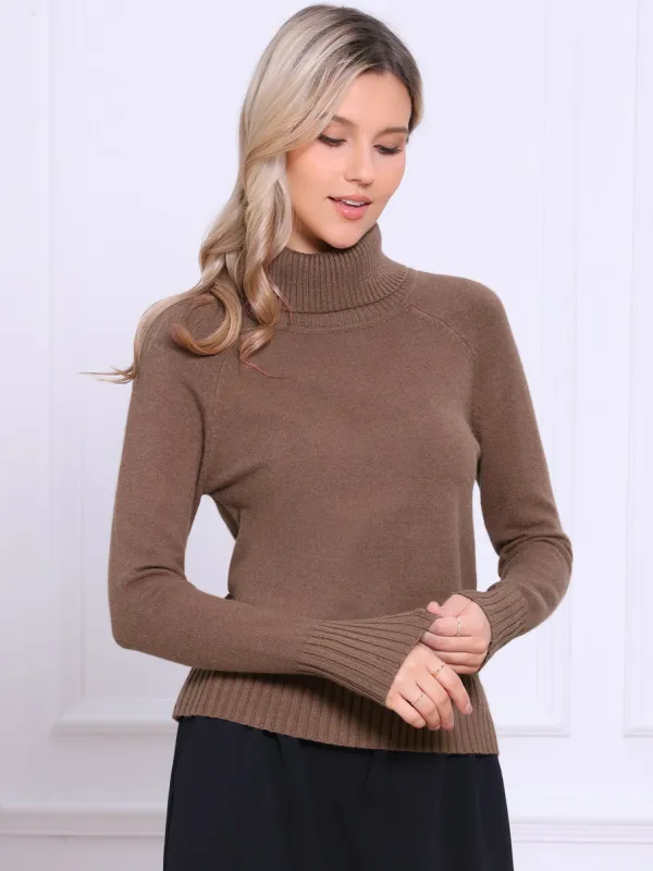 Turtleneck Long Sleeve Ribbed Knitted Pullover Sweater sold by Allegra K