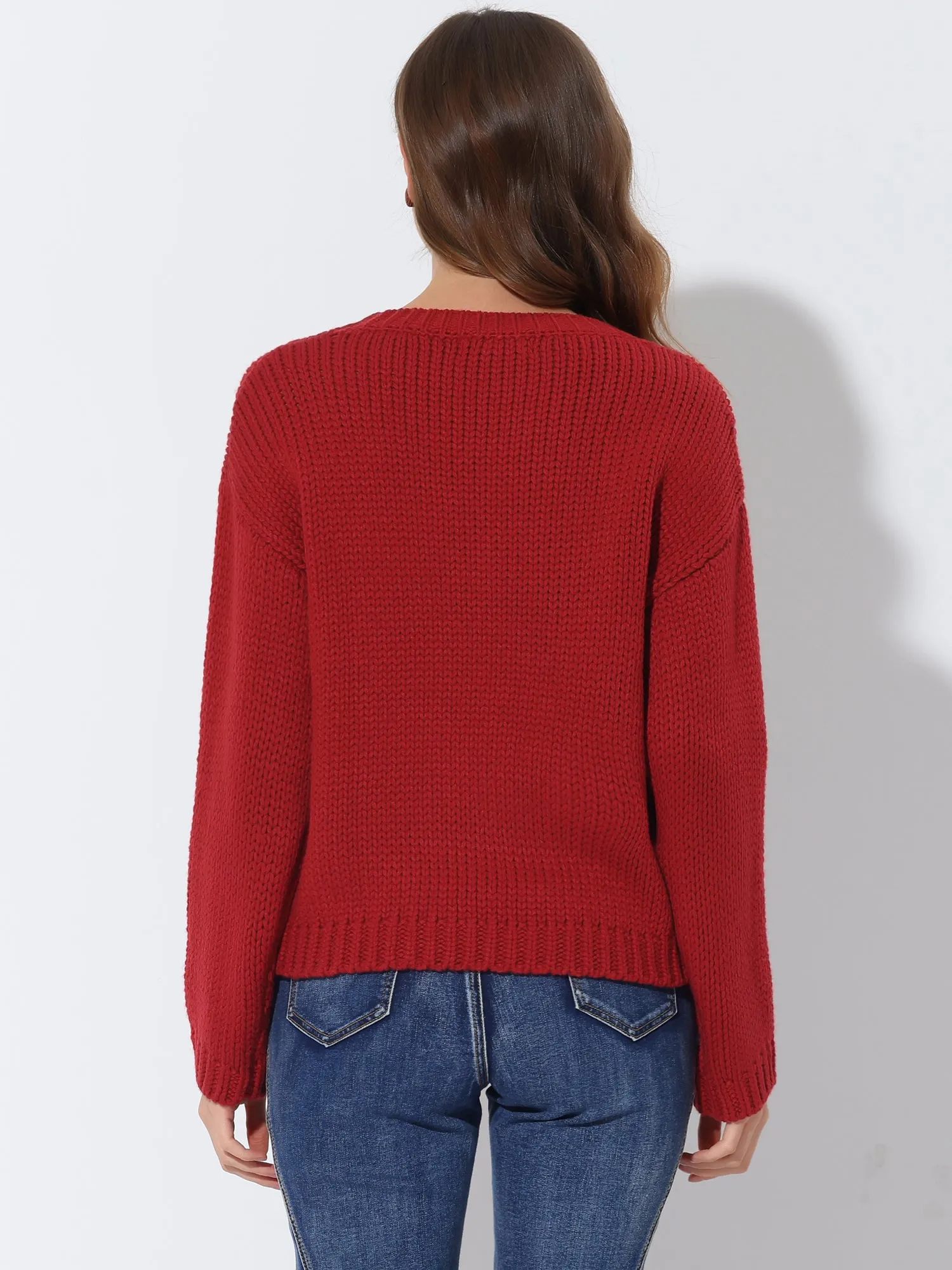Heart Pattern Crew Neck Drop Shoulder Casual Knit Pullover Sweater sold by Allegra K product image thumbnail 3