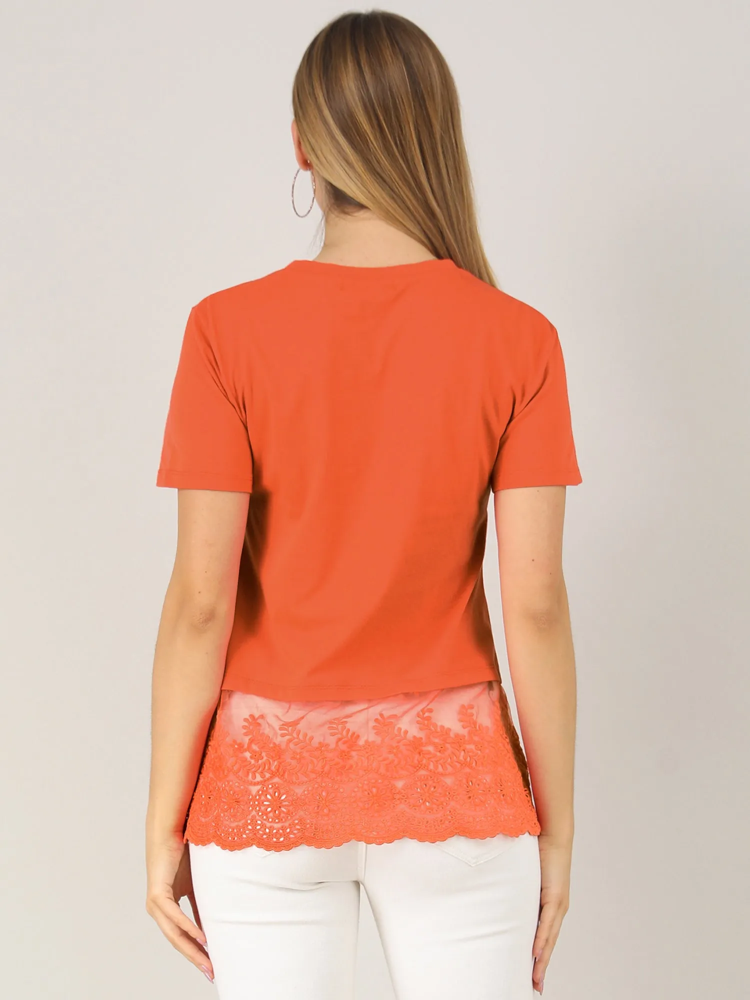 Casual Round Neck Sheer Panel Short Sleeve Knit Tiered Lace Blouse sold by Allegra K product image thumbnail 5