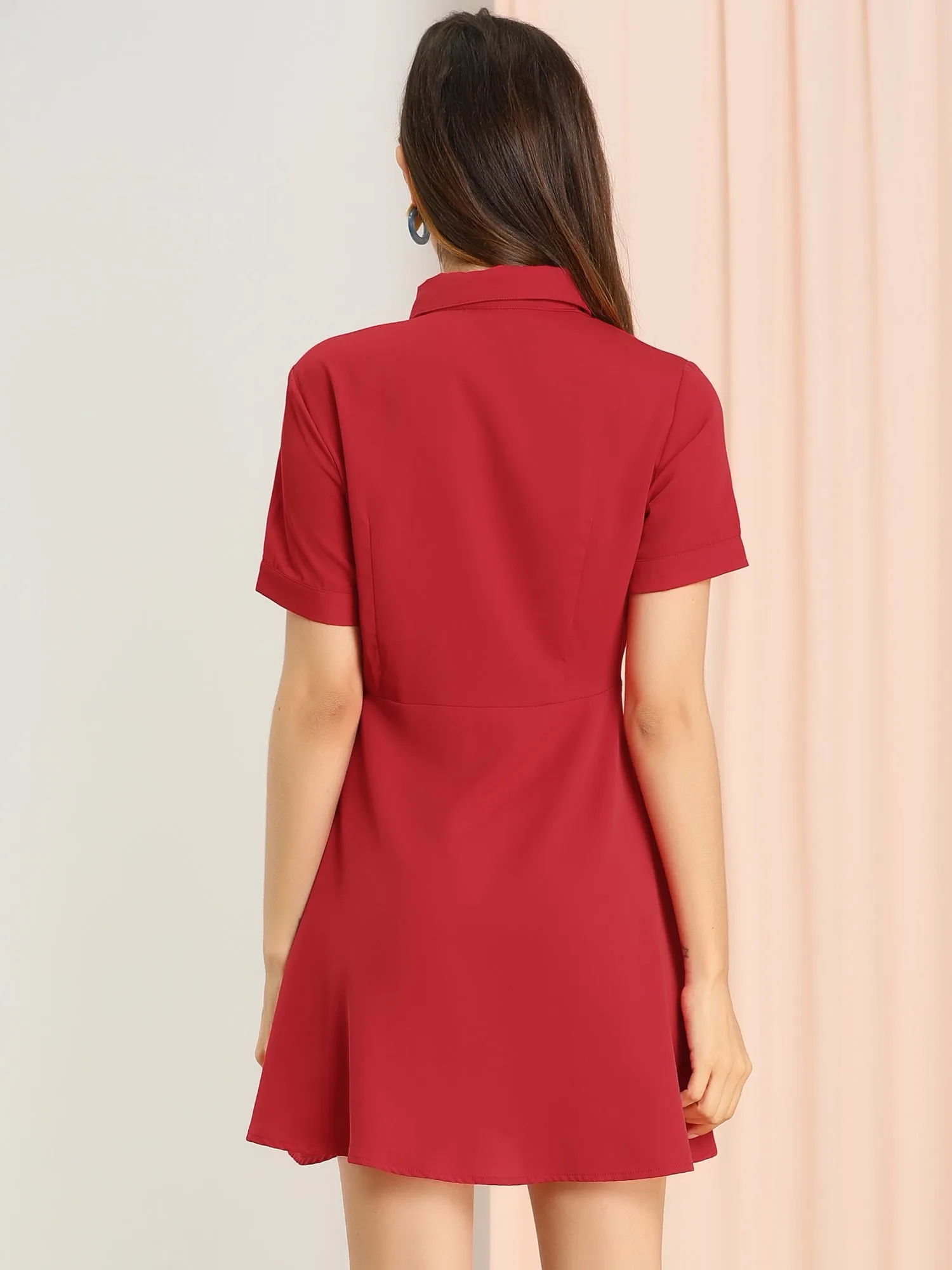 Work Fit and Flare Mini Turndown Collared Keyhole Dress sold by Allegra K product image thumbnail 4