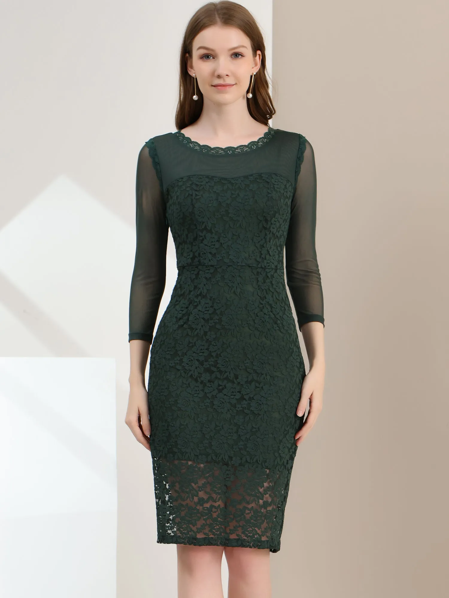 Elegant Mesh Sheer Long Sleeve Stretch Knit Floral Lace Bodycon Dress sold by Allegra K product image thumbnail 5