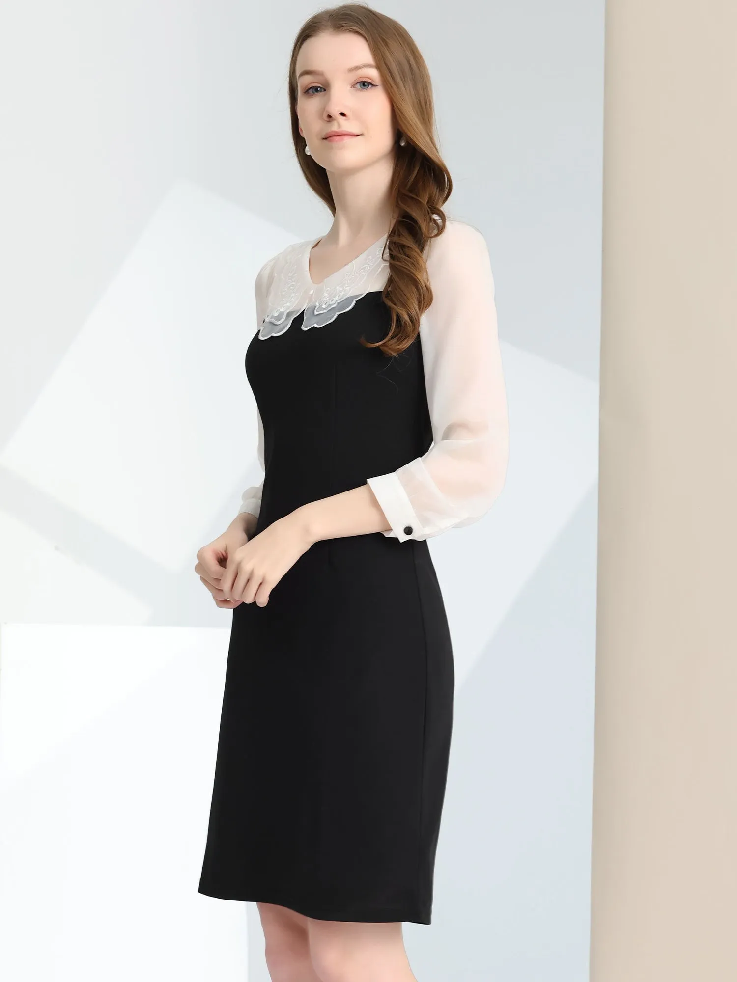 Christmas Party Sheer Chiffon Panel Pater Pan Collar Dress sold by Allegra K product image thumbnail 3