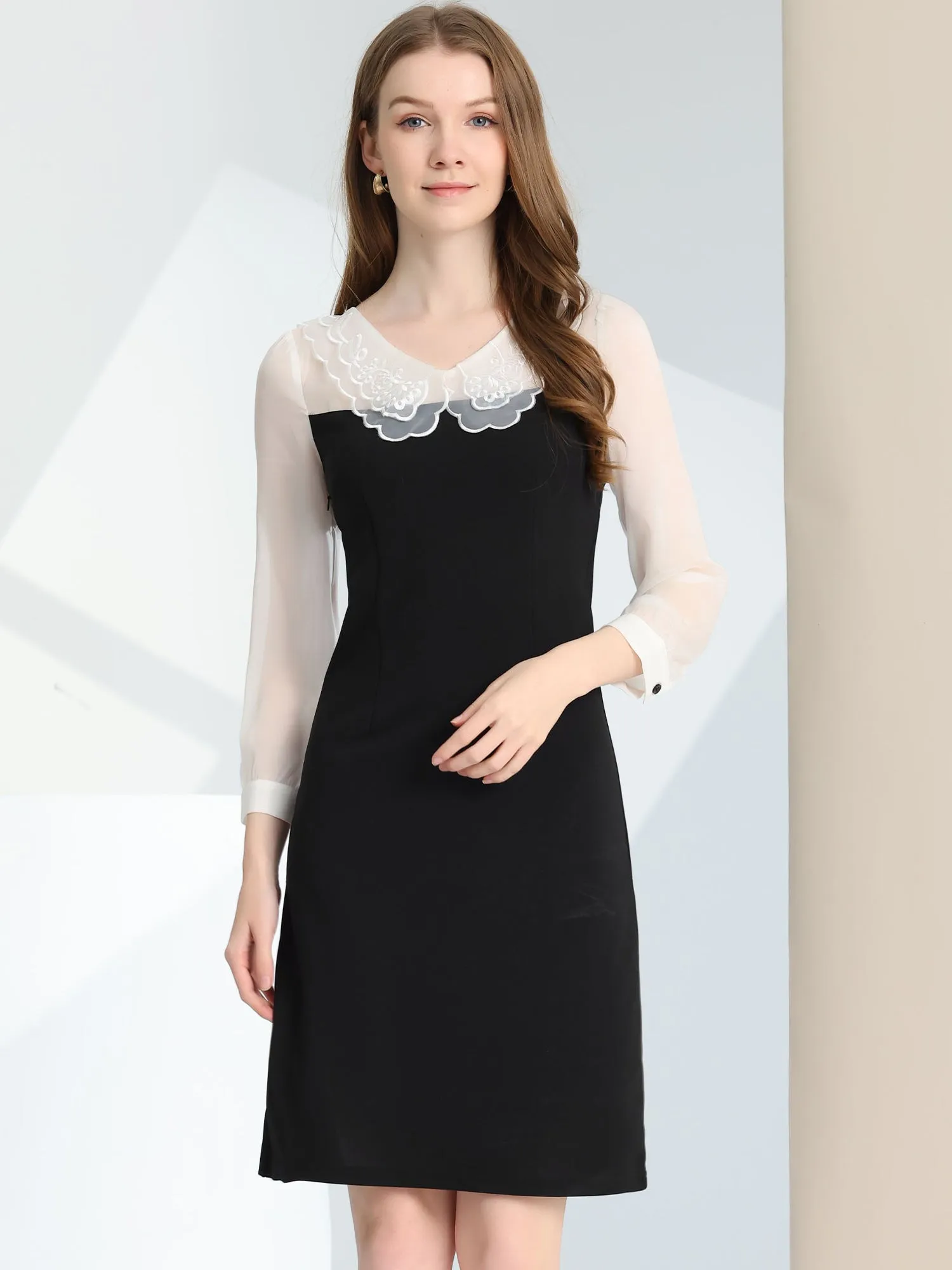 Christmas Party Sheer Chiffon Panel Pater Pan Collar Dress sold by Allegra K product image thumbnail 2