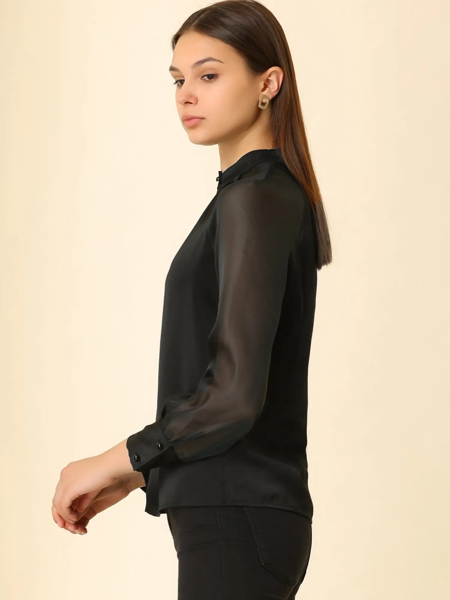 Long Sleeve Keyhole Neck Sheer Satin Blouse sold by Allegra K product image thumbnail 4