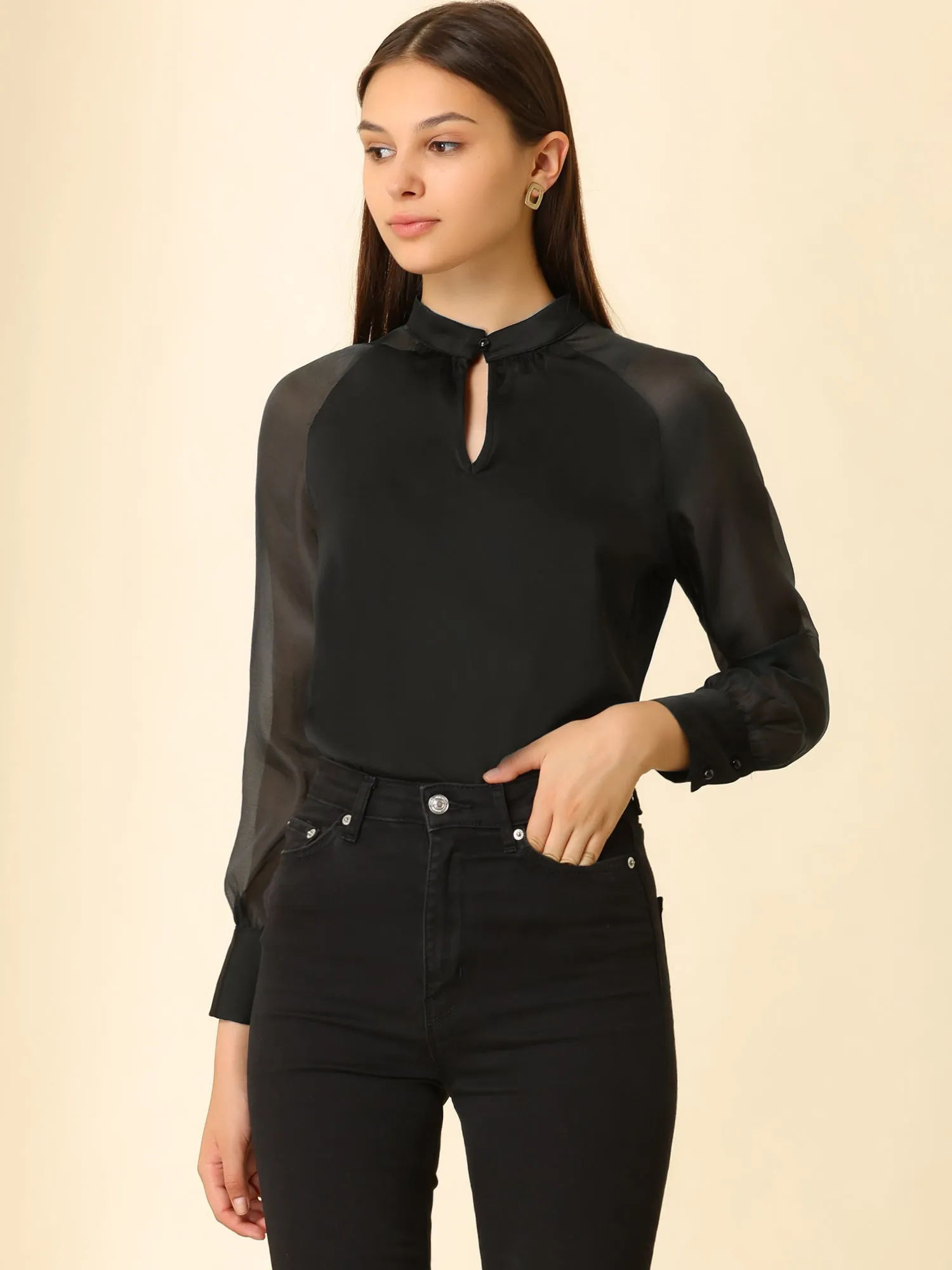 Long Sleeve Keyhole Neck Sheer Satin Blouse sold by Allegra K product image thumbnail 2